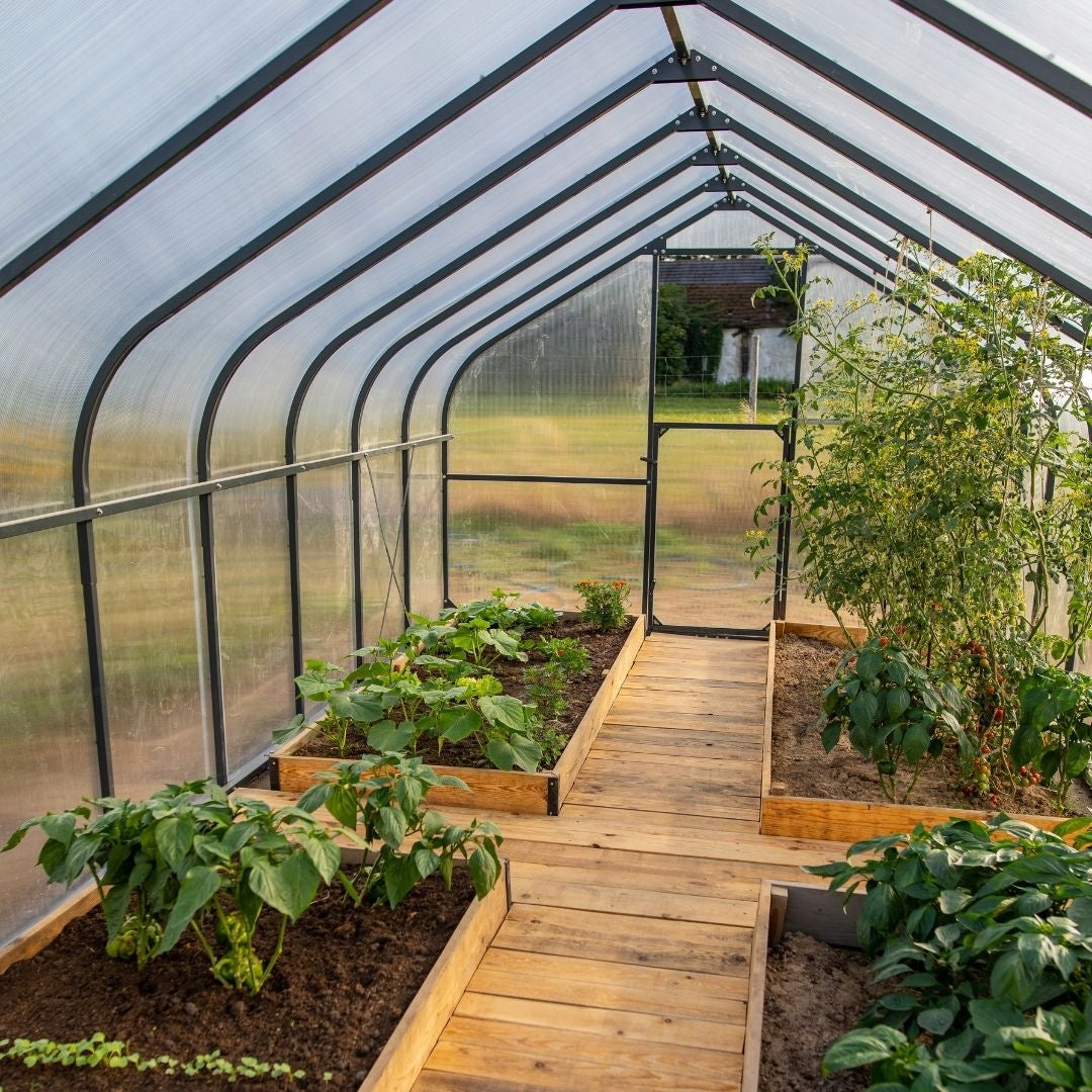 GREENHOUSE POLYCARBONATE TUNNEL 5M2 250X205 PTF POLAND ANTHRACITE GRAPHITE + WINDOW Width 2.5 m