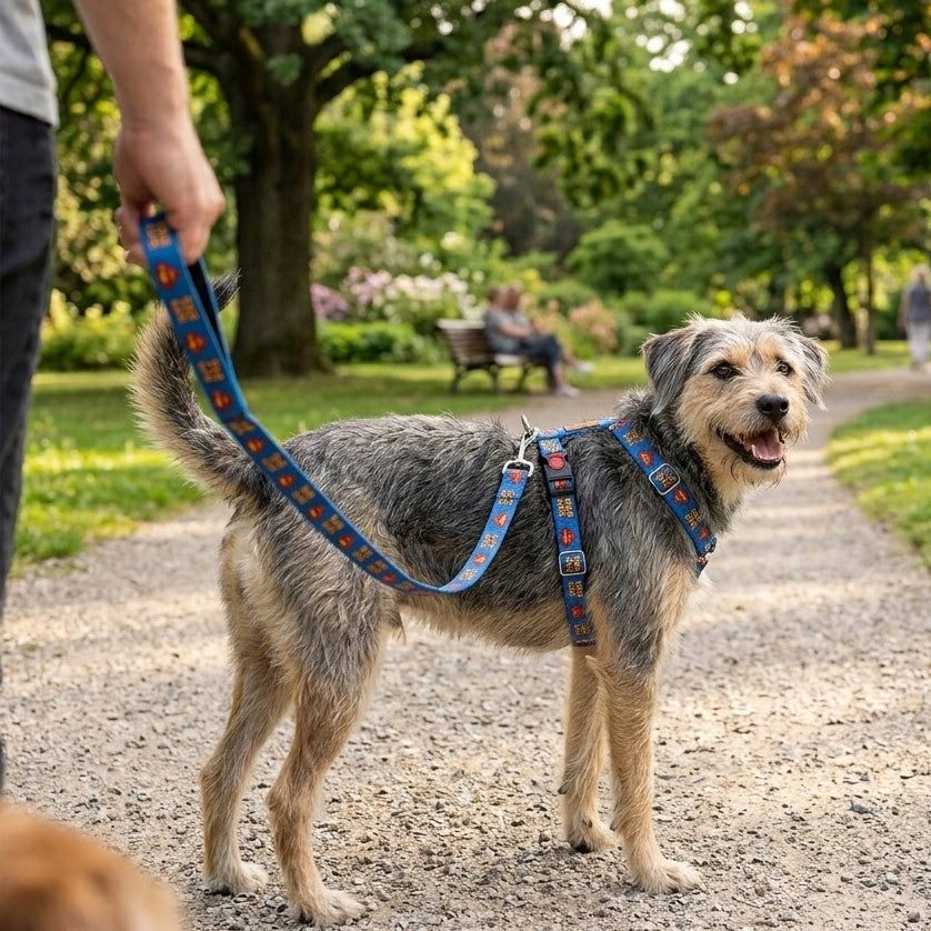 GUARD HARNESS FOR DOG ADJUSTABLE STRONG PRESSURE-FREE DECENT SUPER ros. M Color red