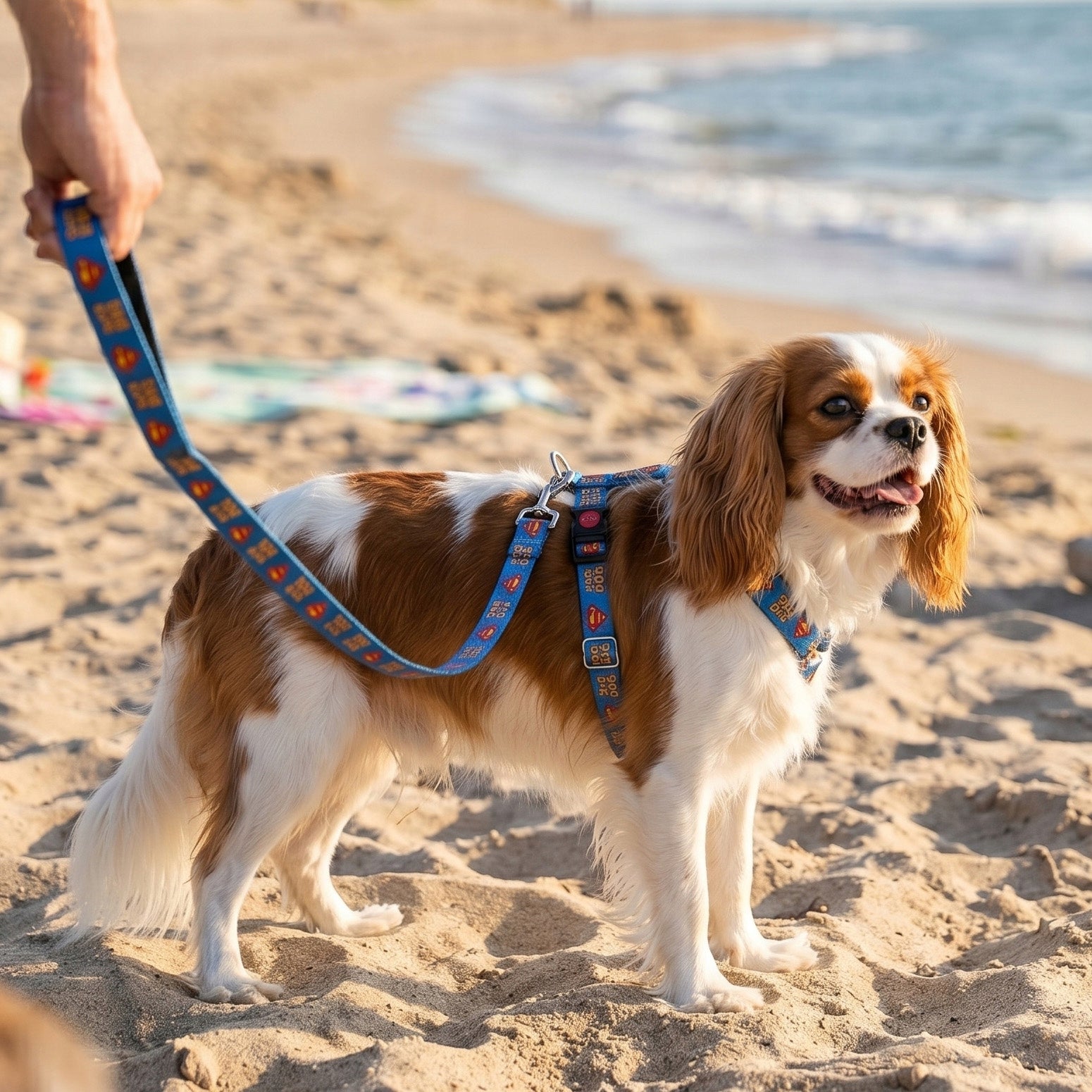 GUARD HARNESS FOR DOG ADJUSTABLE STRONG PRESSURE-FREE DECENT SUPER ros. M Size M