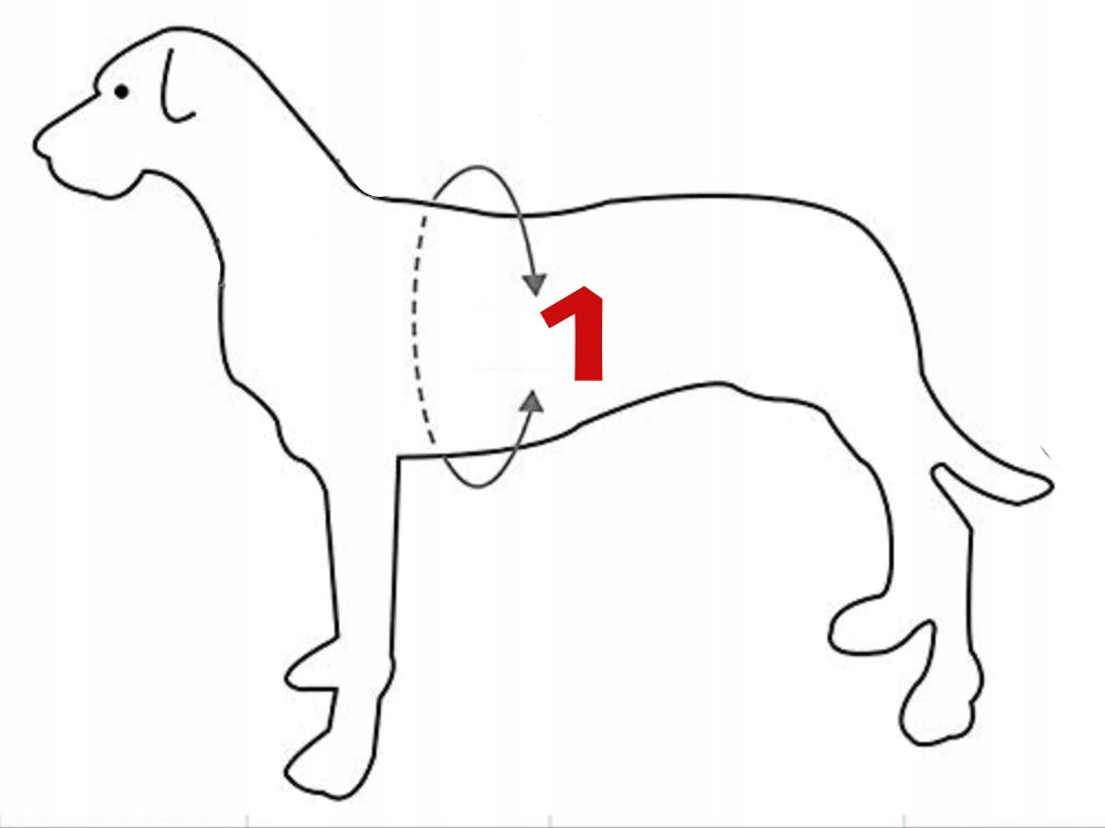 GUARD HARNESS for big dog comfortable pressure-free L Manufacturer code Szelki typu GUARD kolorowe L