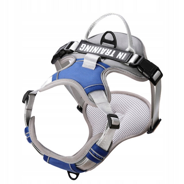 GUARD PRESSURE-FREE DOG HARNESS STRONG LIGHTWEIGHT PREMIUM Roz L Brand Dogsy