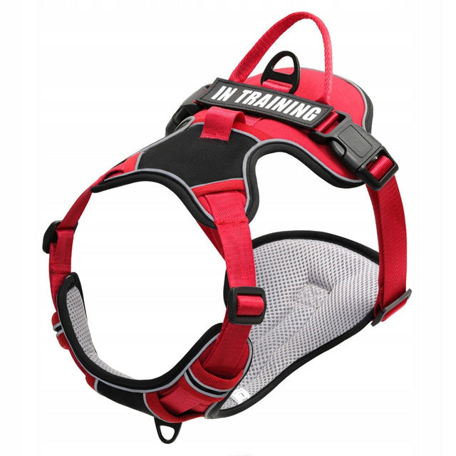 GUARD PRESSURE-FREE DOG HARNESS STRONG LIGHTWEIGHT PREMIUM Roz L Dog size big dog