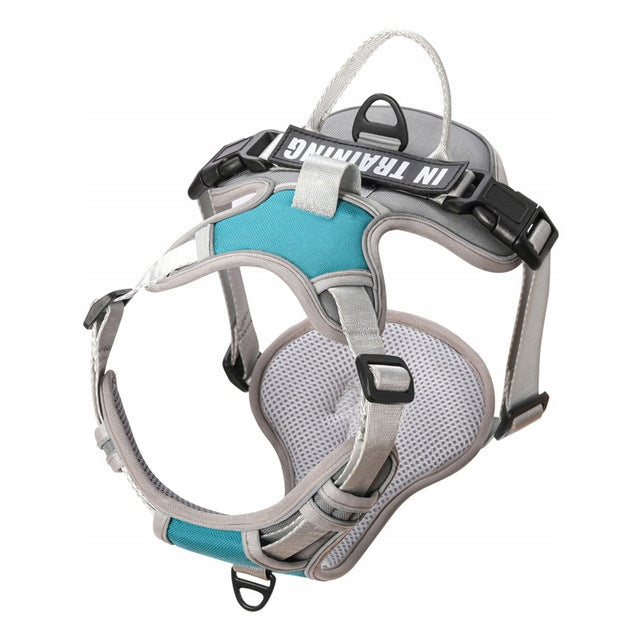GUARD PRESSURE-FREE DOG HARNESS STRONG LIGHTWEIGHT PREMIUM Roz L Kind walking harness