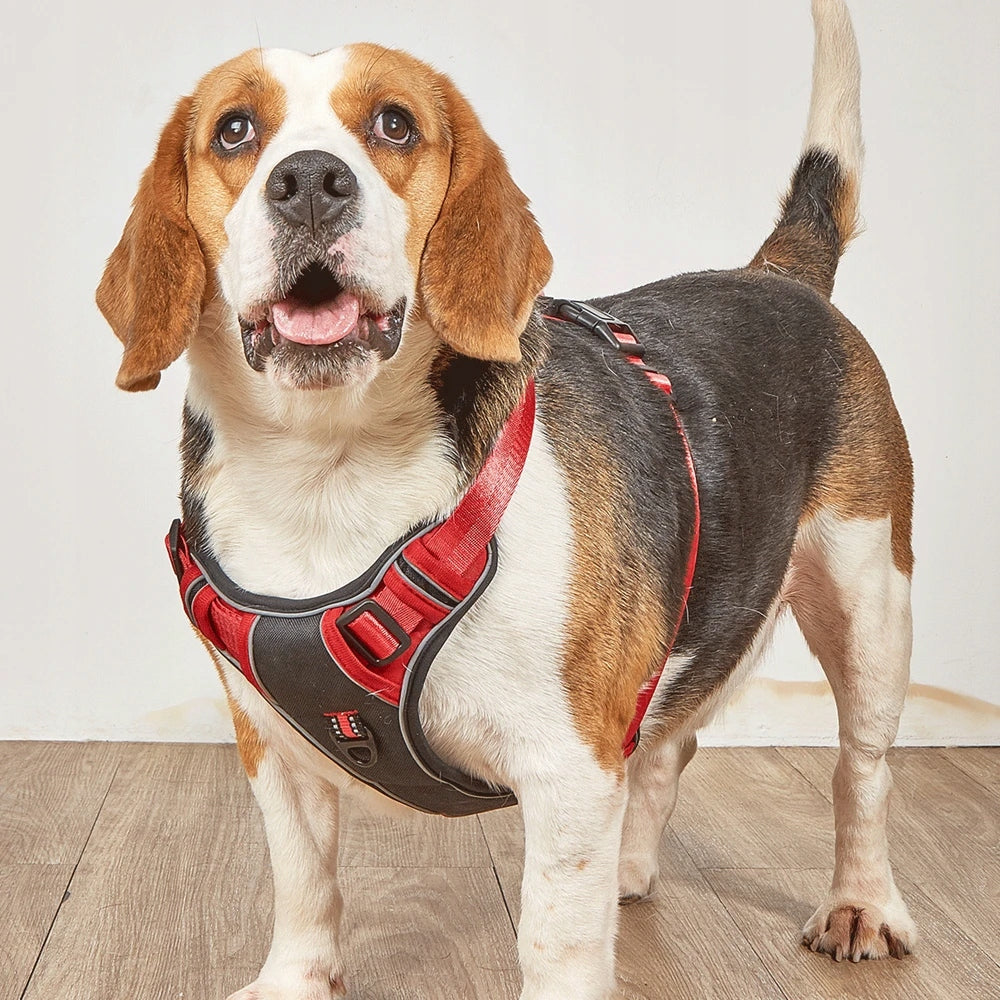 GUARD PRESSURE-FREE DOG HARNESS STRONG LIGHTWEIGHT PREMIUM Roz L Maximum neck girth 67 cm