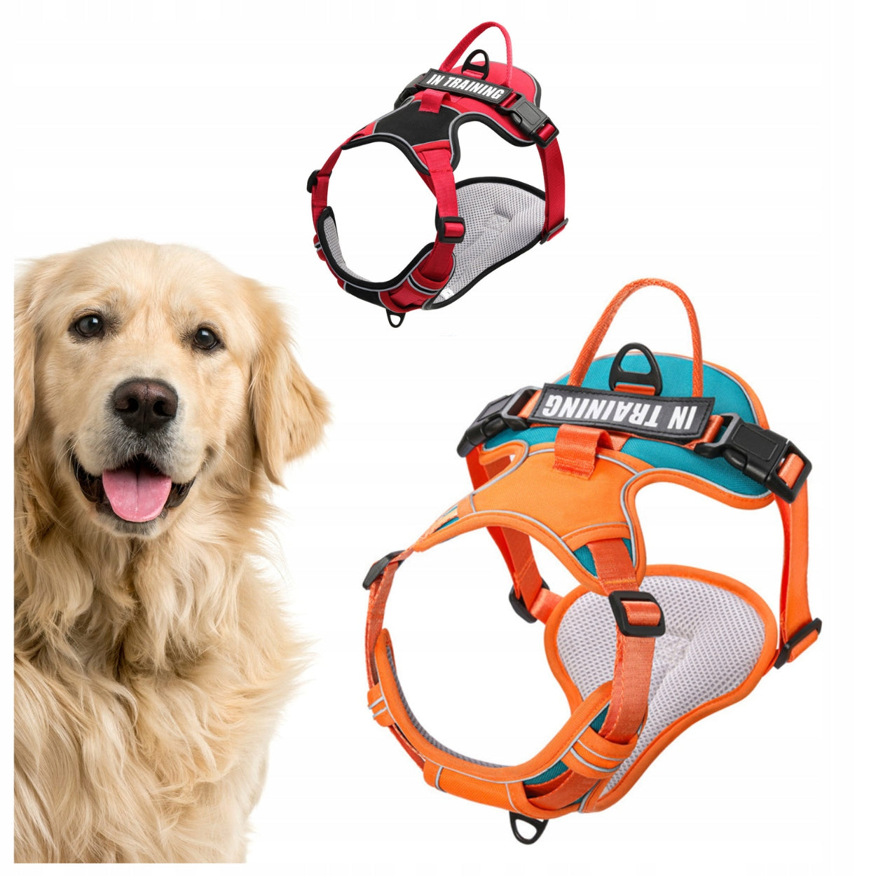 GUARD PRESSURE-FREE DOG HARNESS STRONG LIGHTWEIGHT PREMIUM Roz L