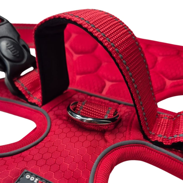 GUARD dog walking harness pressure-free comfortable COMO red M Type adjustable