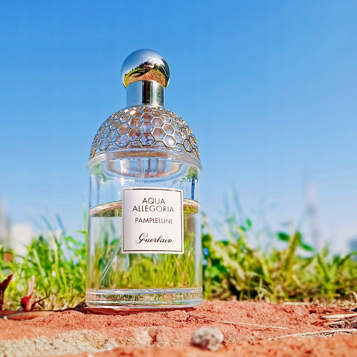 GUERLAIN AQUA ALLEGORIA PAMPLELUNE EDT 75ML ORIGINAL Manufacturer code Guerlain Aqua Allegoria Pamplelune