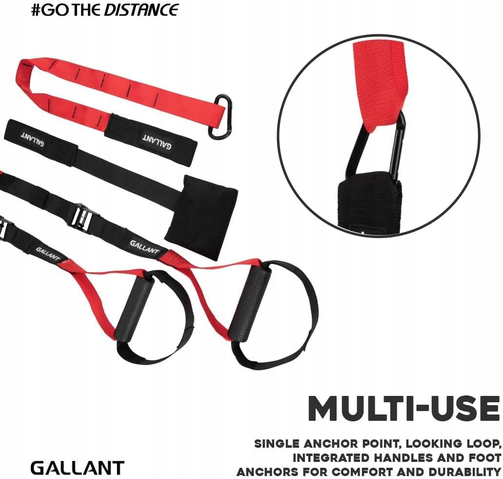 Gallant suspended trainer Brand no brand