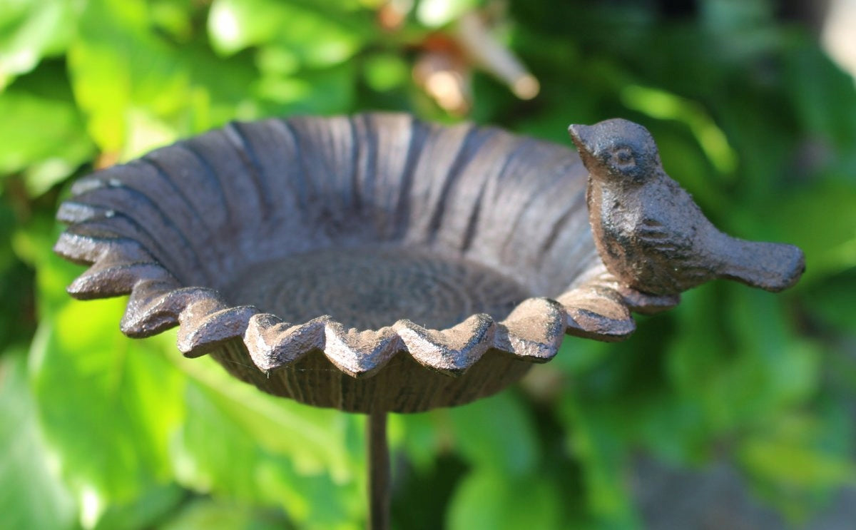 Garden Drinker Feeder for Cast Iron Birds on Leg 76cm for Grain Water Product width 13.7 cm