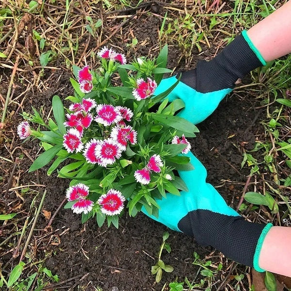 Garden Gloves with Claws for Digging and Raking Waterproof Type other