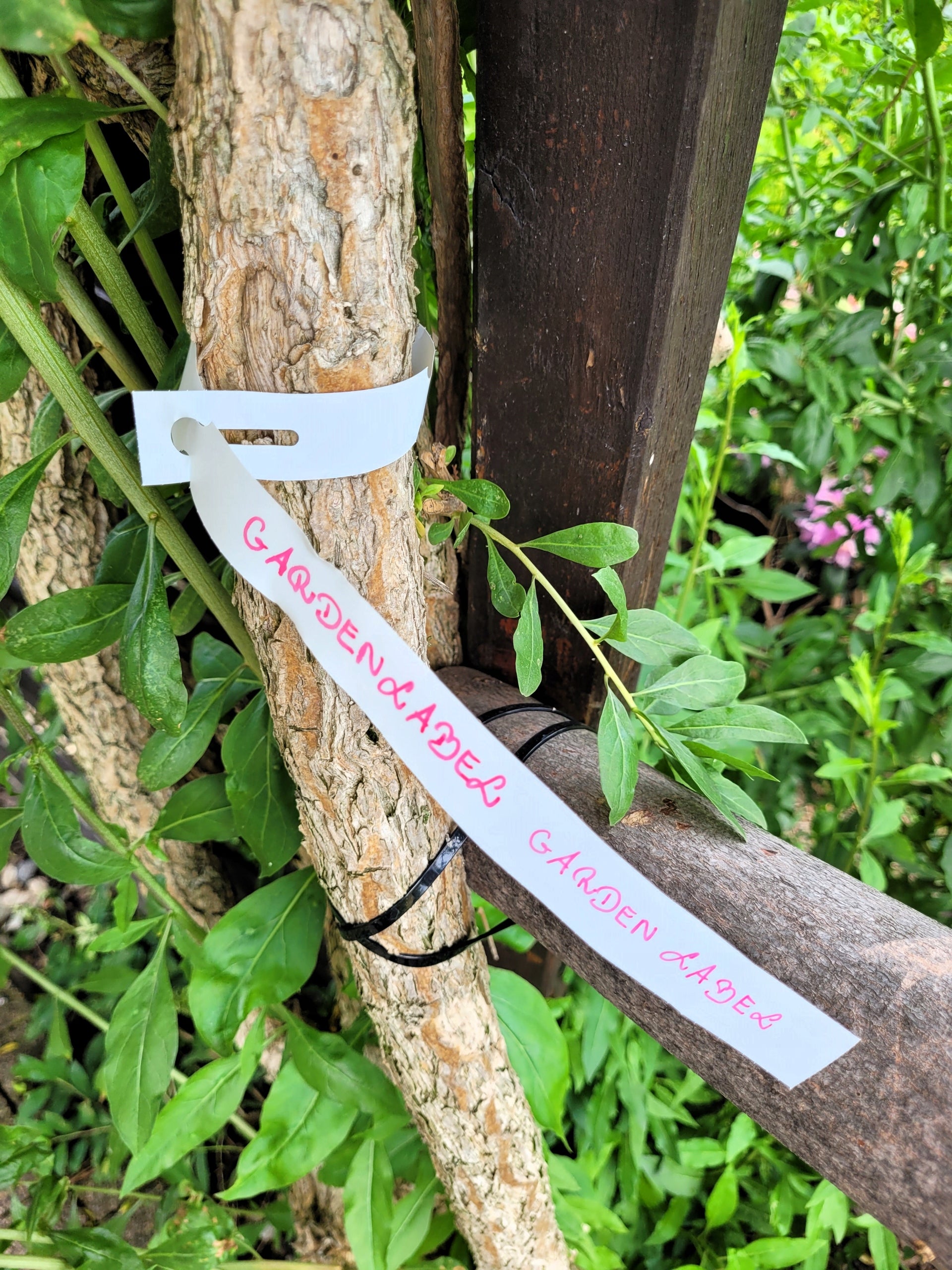 Garden Labels for Writing Loop White BDUŻE 400x20mm (20x400) 100pcs Number of pieces 100 pcs