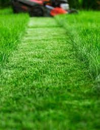 Garden Lawn 25 kg Manufacturer code 0651817364351