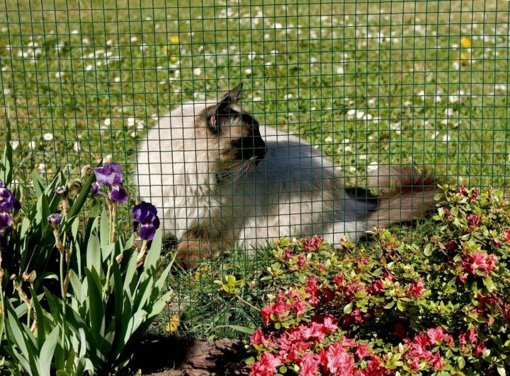 Garden Mesh Metal Hexagonal PVC Coated 1x10m Eyelet 25x25mm Manufacturer VK Distribution