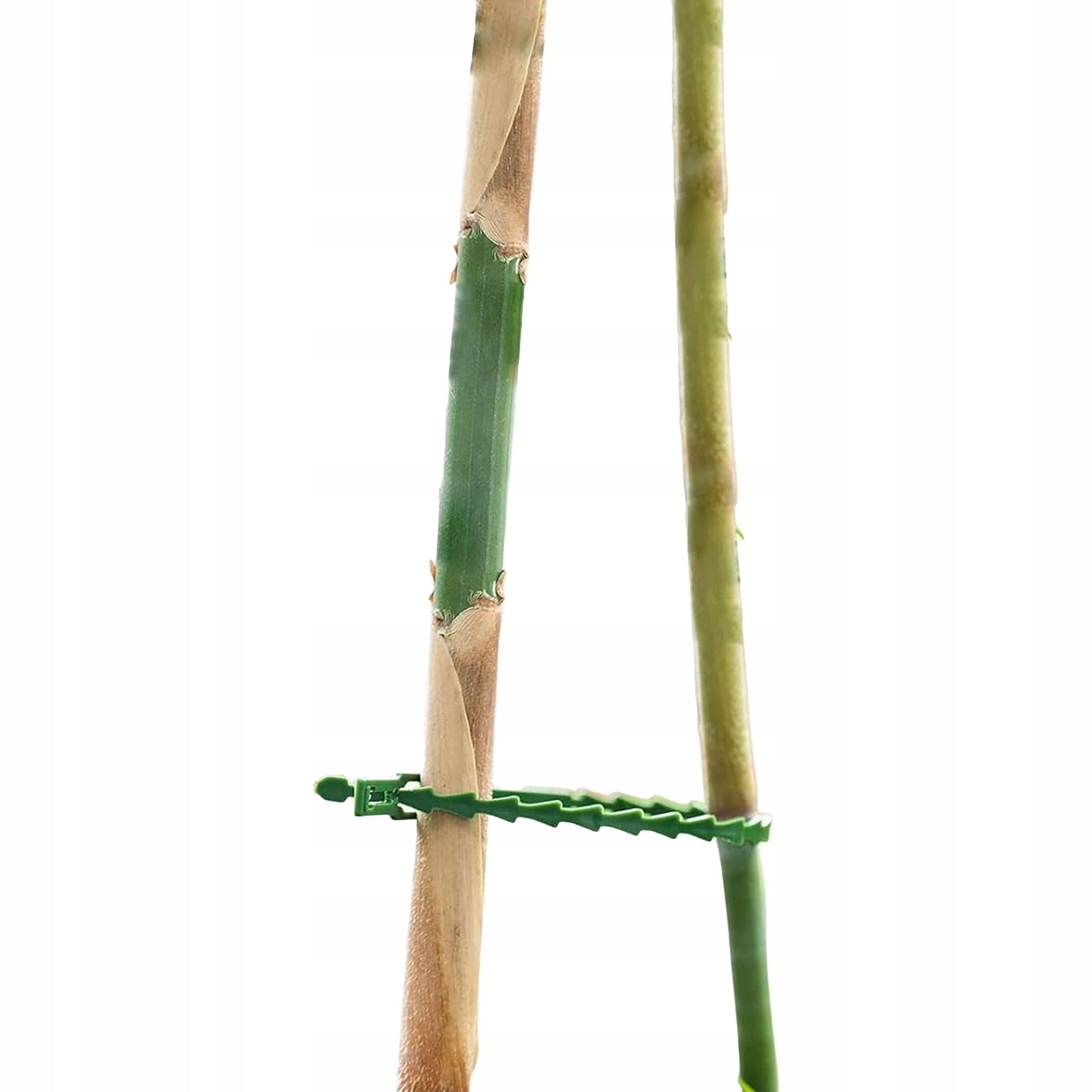 Garden bands for plants. 17 cm 100 pcs. VERGIONIC Number of pieces 100 pcs