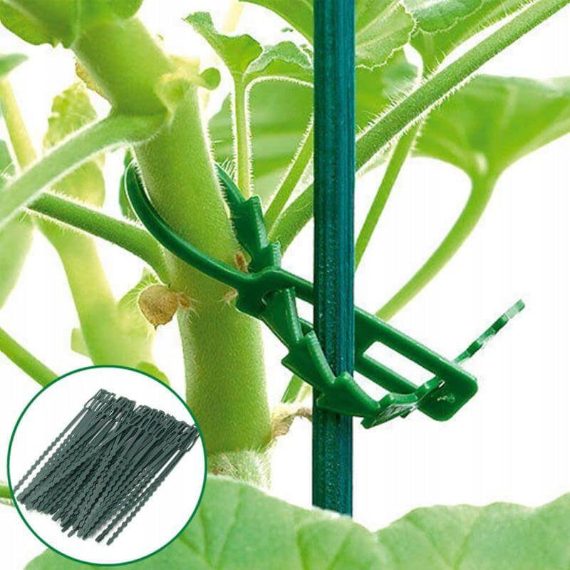 Garden clips, adjustable clips, tomato stem holder, 20 pcs, green Manufacturer code LAR2562