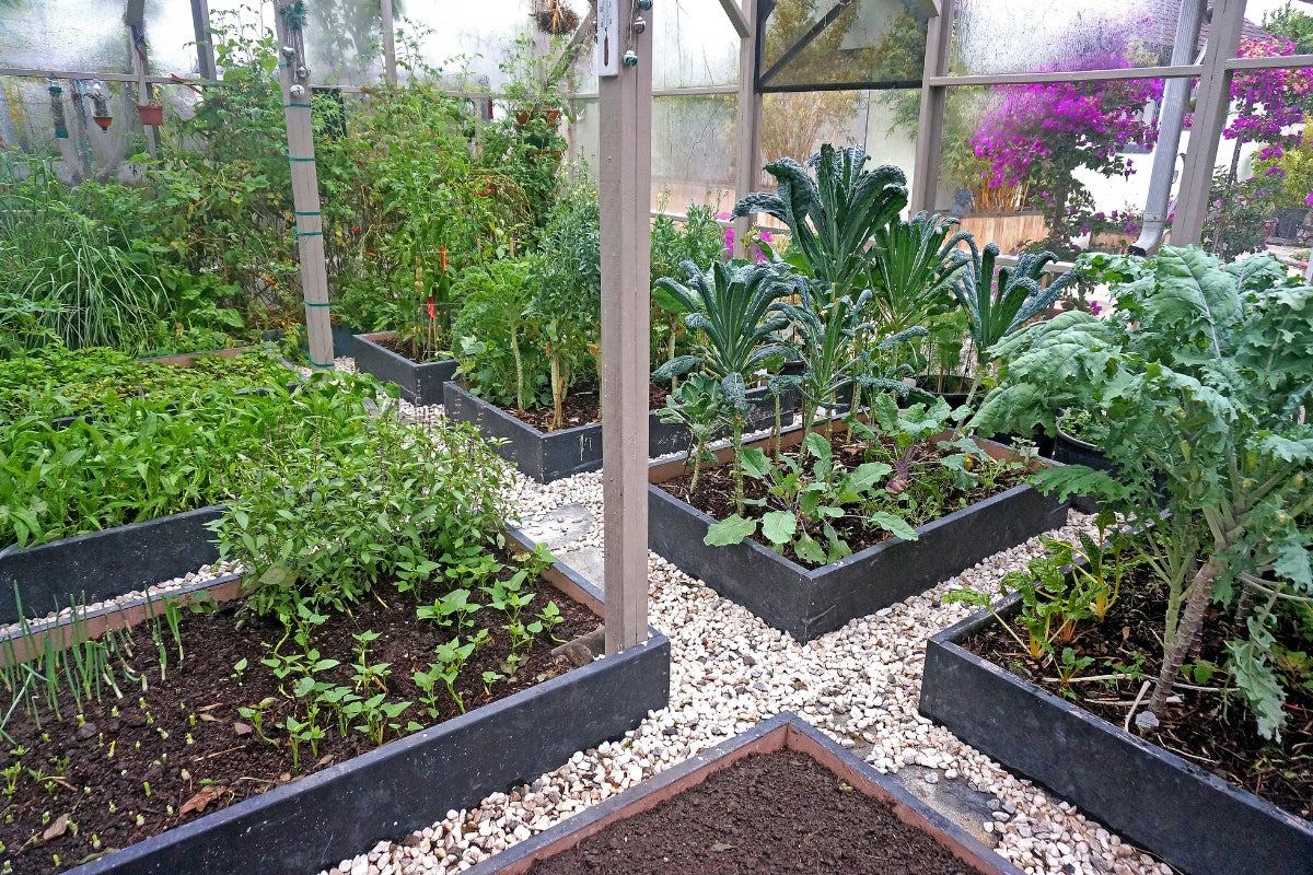 Garden discount Base Woody IBWR anthracite 150 x 75 x 25 cm - Prosperplast Length 149.2 cm
