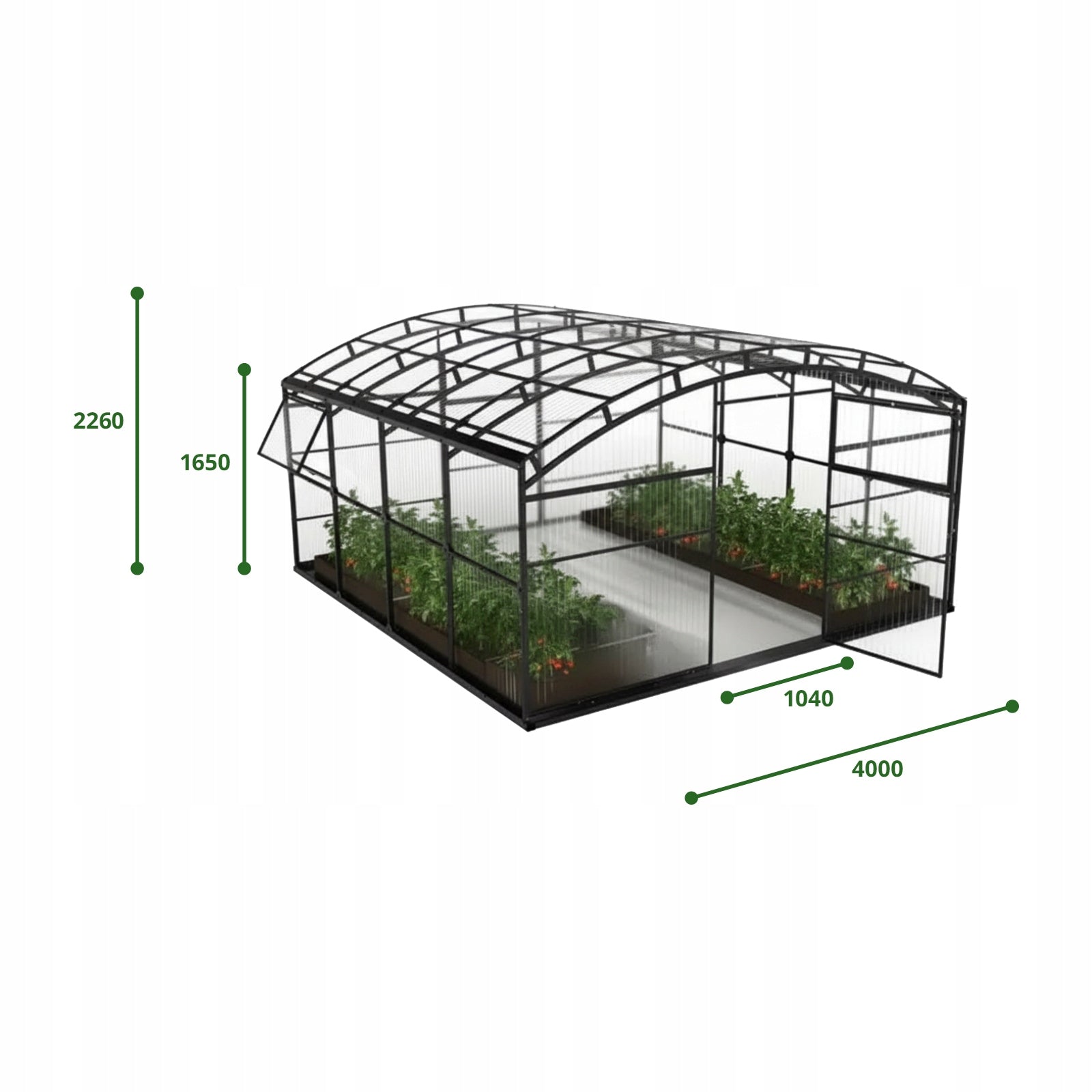 Garden greenhouse Botanic Farmer Polycarbonate 4mm 4x4 m galvanized Length 4 m