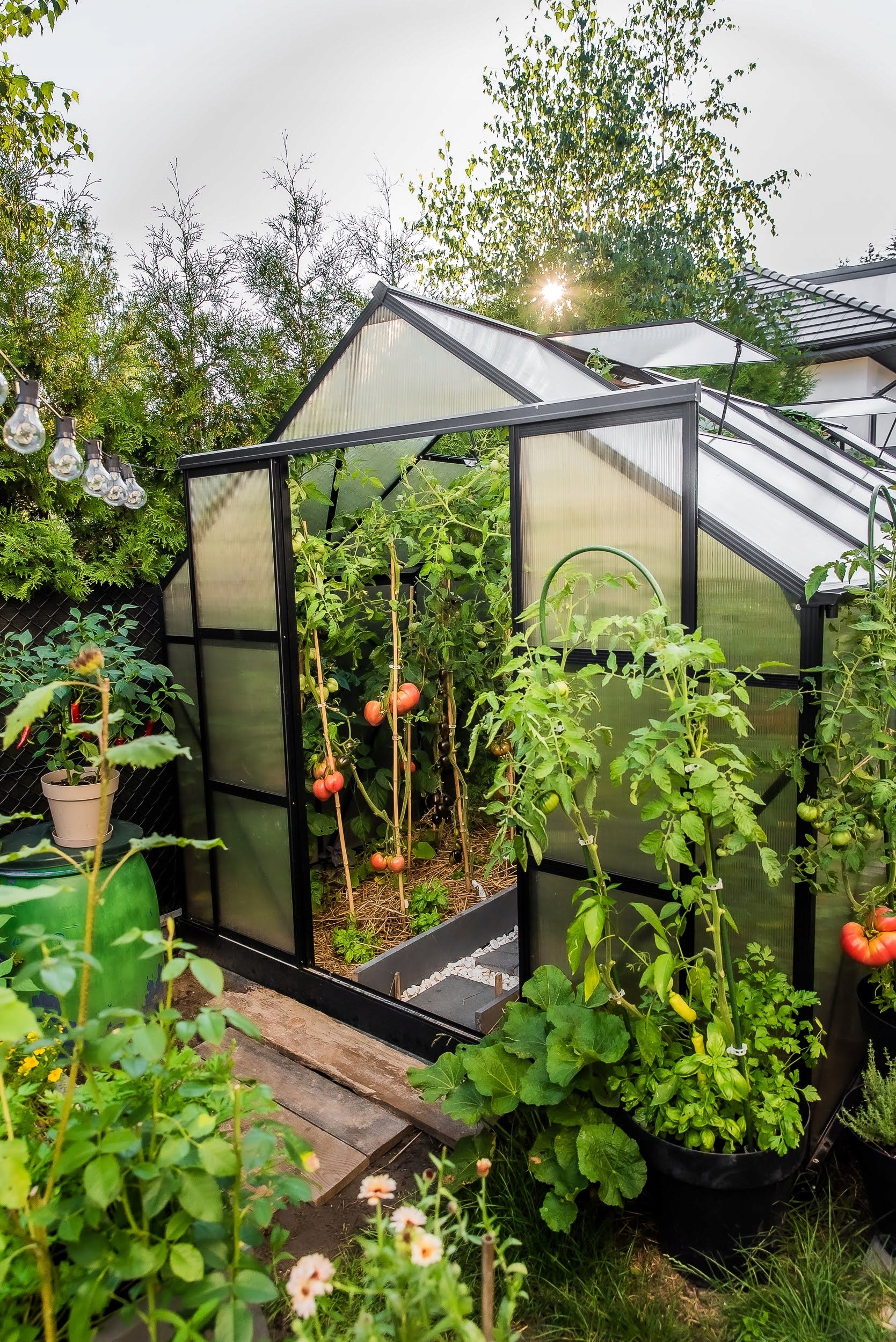 Garden greenhouse Stimeo A1 Premium 509x244cm 12,5m2 Manufacturer Stimeo