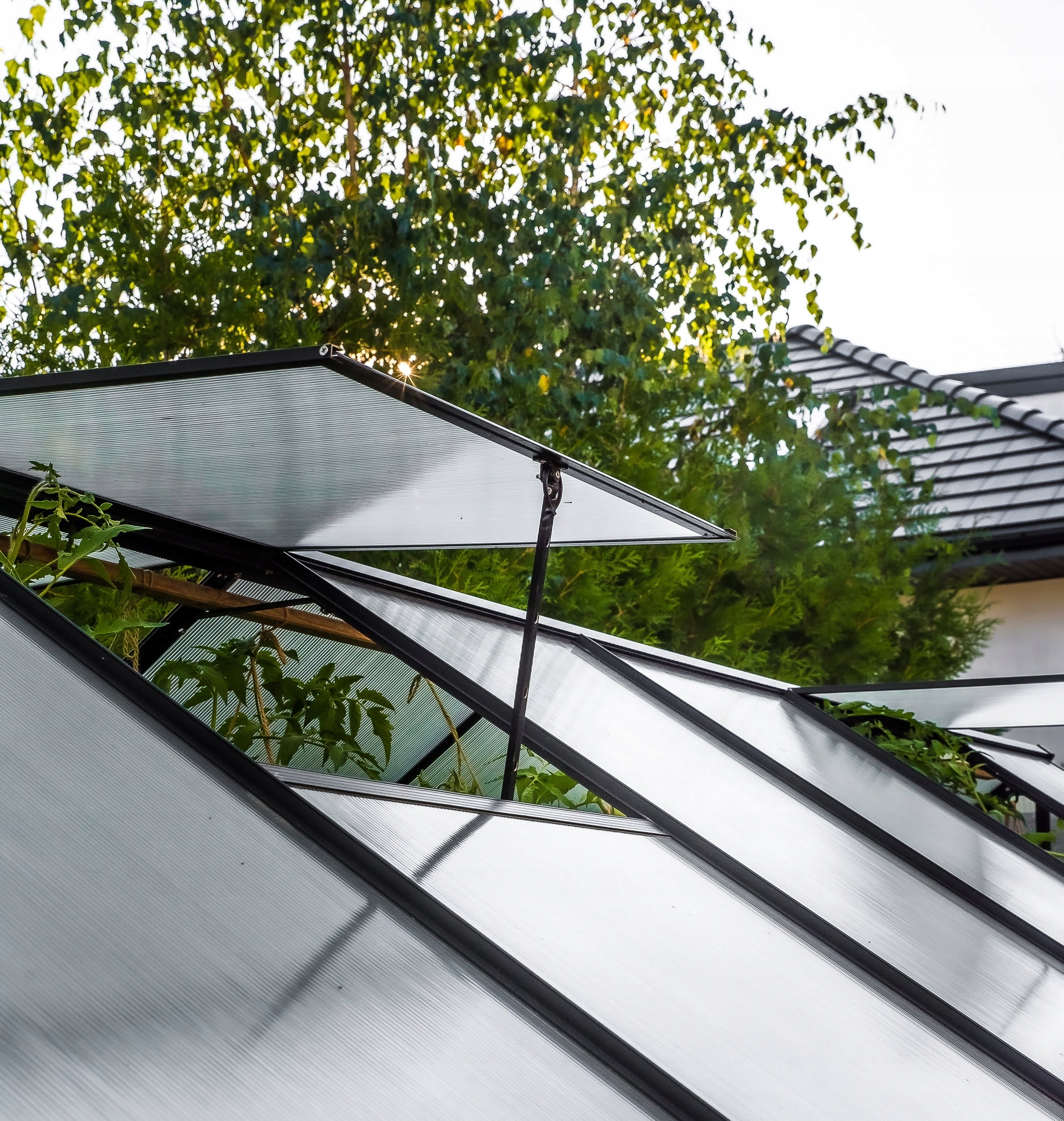 Garden greenhouse Stimeo A1 Premium 509x244cm 12,5m2 Product weight with unit packaging 115 kg