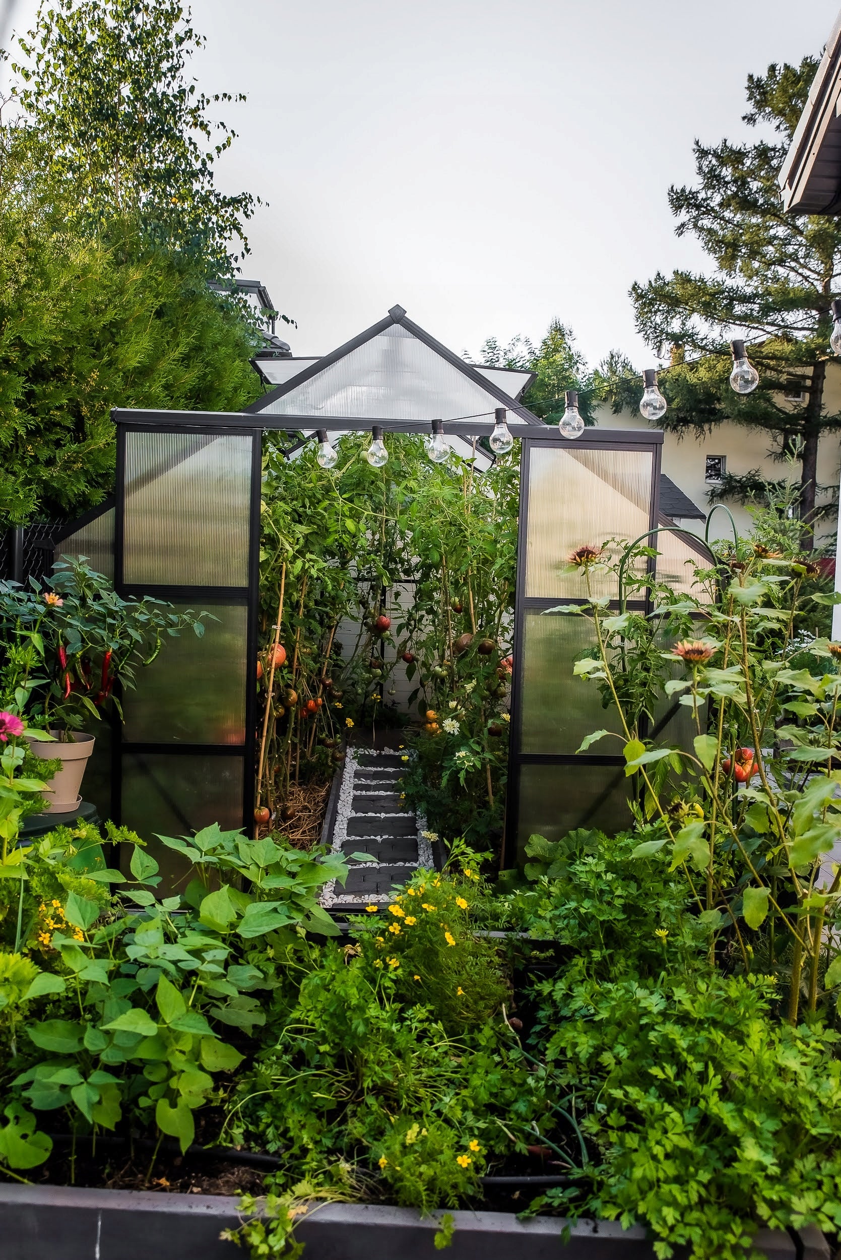 Garden greenhouse Stimeo A1 Premium 509x244cm 12,5m2 Width 2.44 m