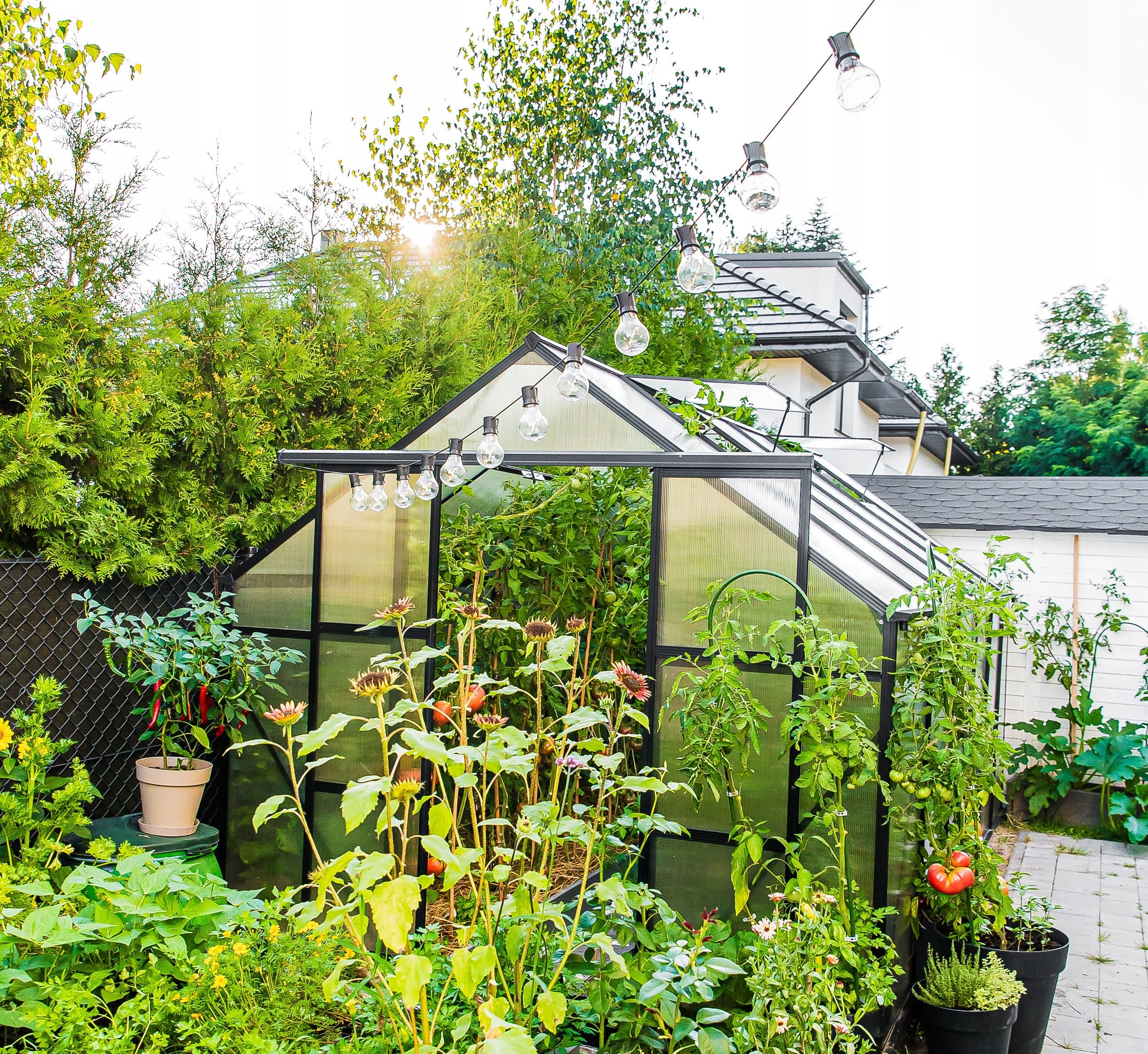 Garden greenhouse Stimeo A1 Premium 509x244cm 12,5m2