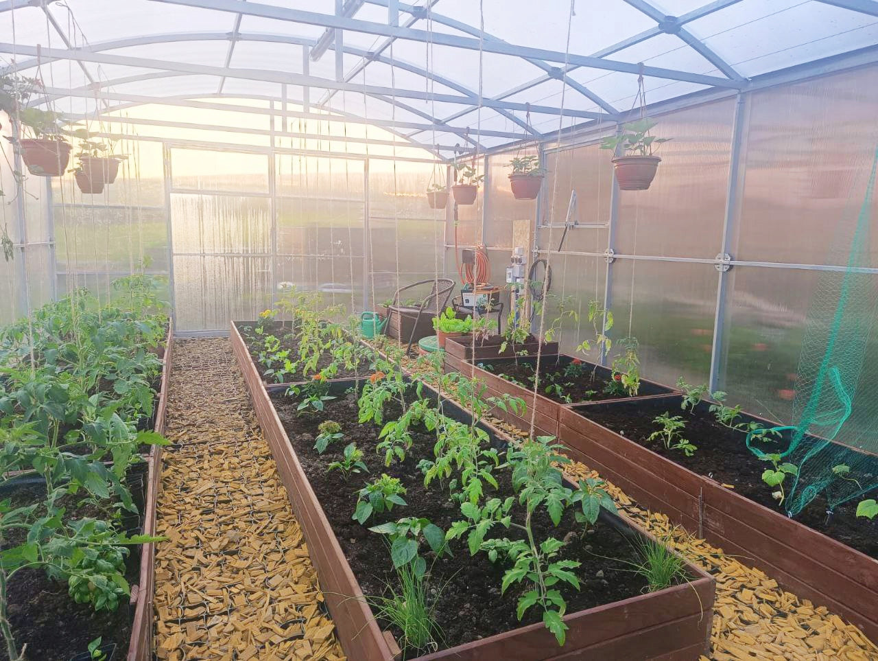 Garden greenhouse polycarbonate Hestia 4x8 m straight walls p 40x20mm + PW 6mm Manufacturer ETL