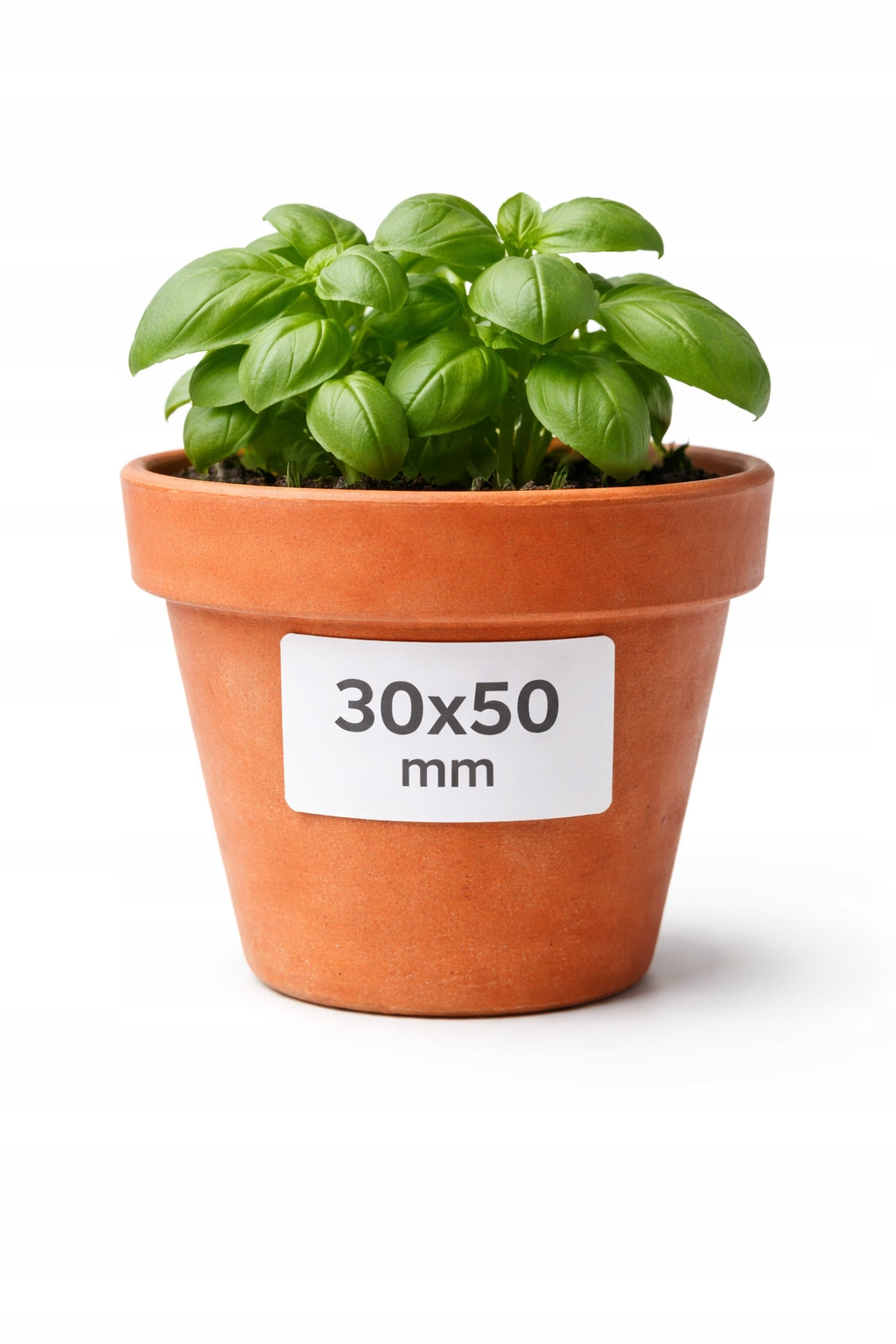 Garden labels 30x50 mm, self-adhesive, PP foil, roll 1000 pcs. Packaging status original