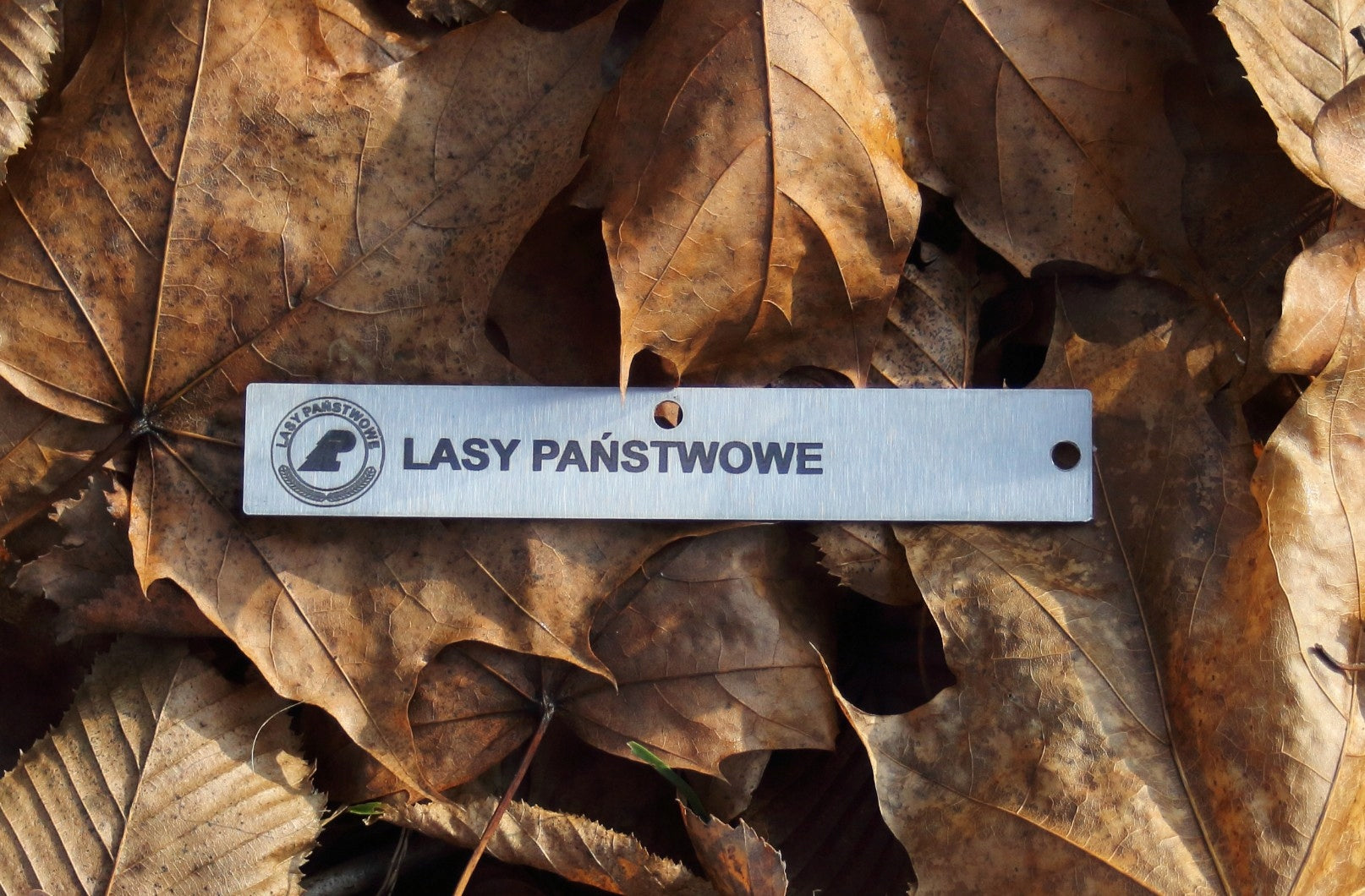 Garden plaque pendant/tag, stainless steel, Laser ENGRAVING (125x20