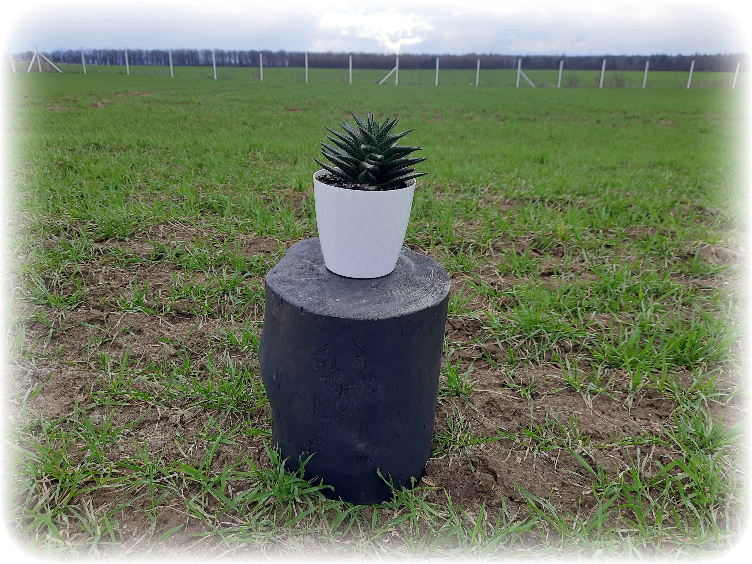 Garden stump for fireplace PINE GRAPHITE d. 30 cm Manufacturer no brand