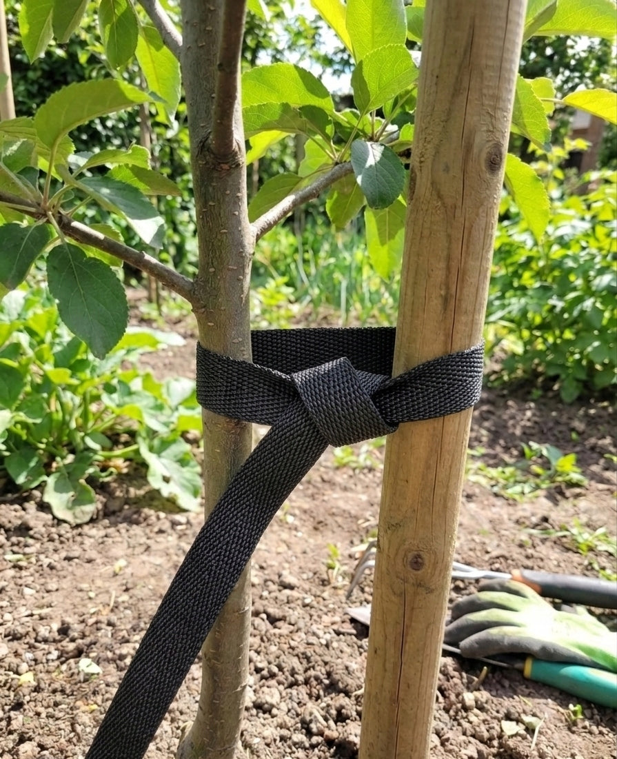 Garden tape for ligating shrub tree plants strong 25mm 10m black Packaging status original