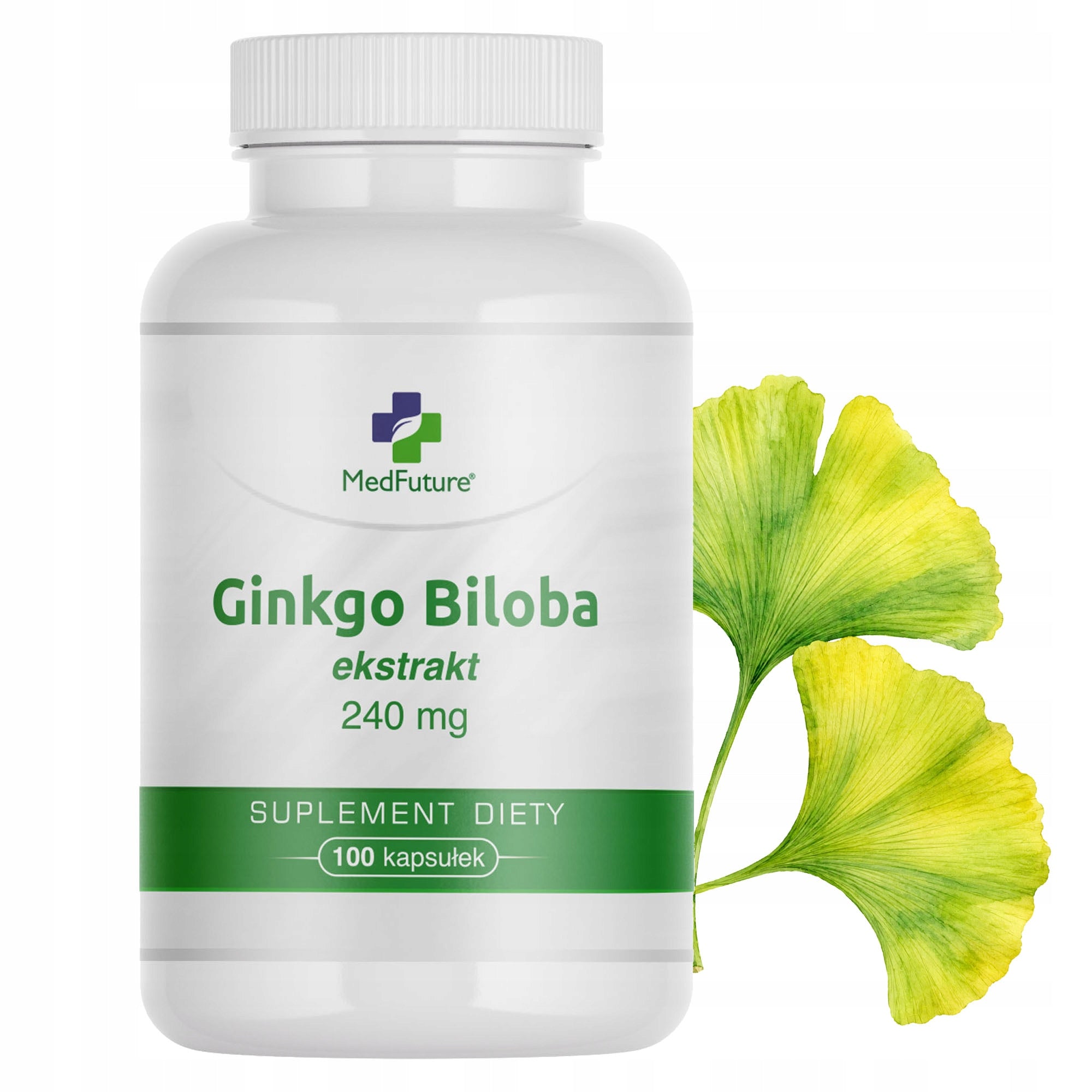 Ginkgo Biloba (Japanese Ginkgo) - extract 240 mg - 100 capsules vege