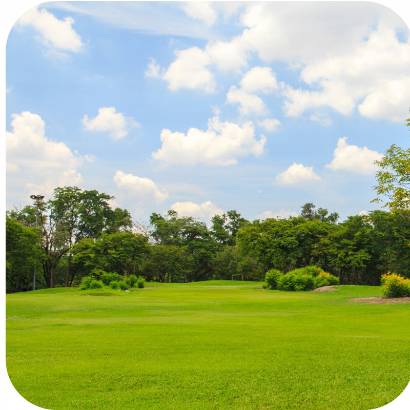 Grass Fertilizer Multicomponent Lawn FERTILIZER 25Kg Granulated FRUCTUS Packaging status original