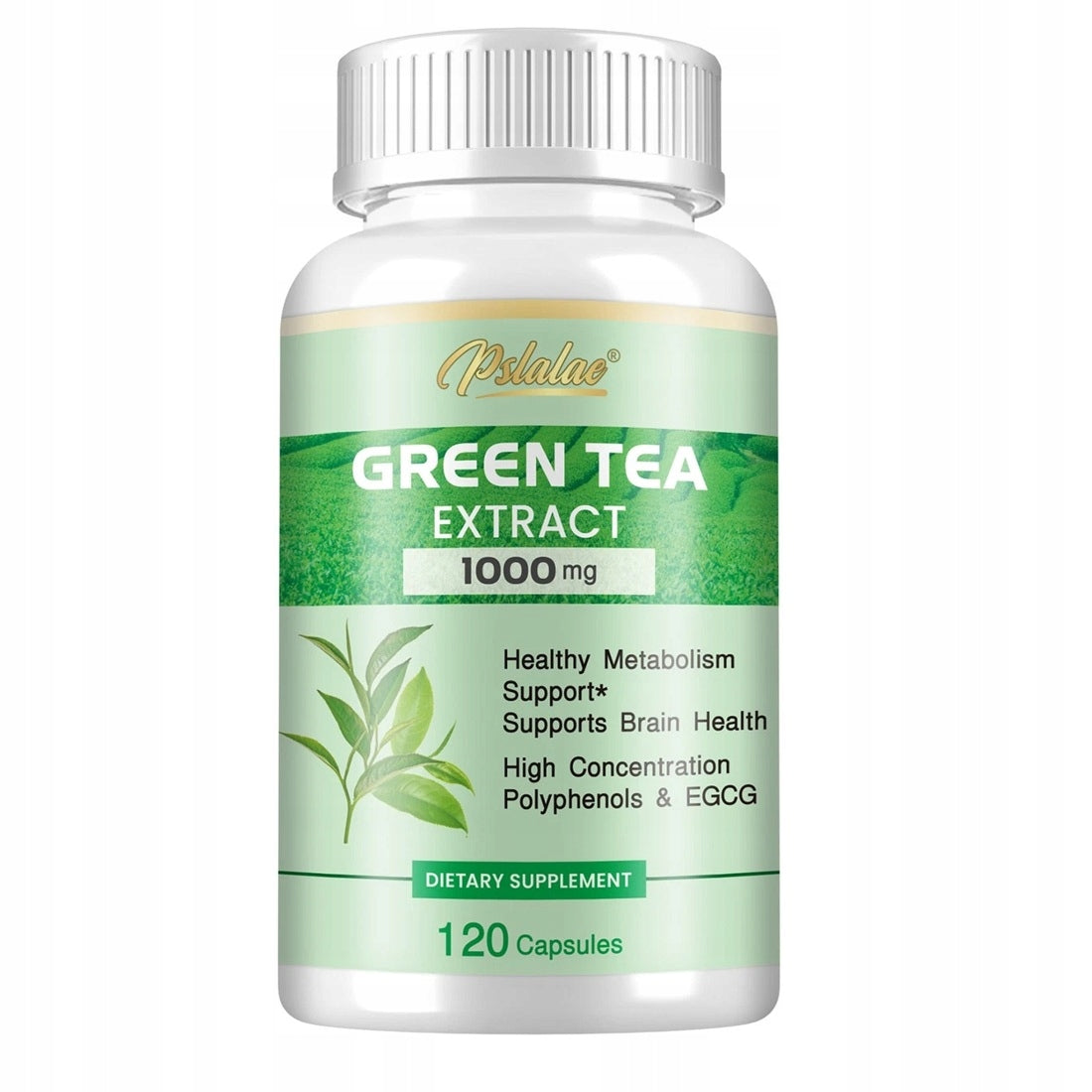 Green Tea Extract - 98% Polyphenols (with EGCG) - Weight Support