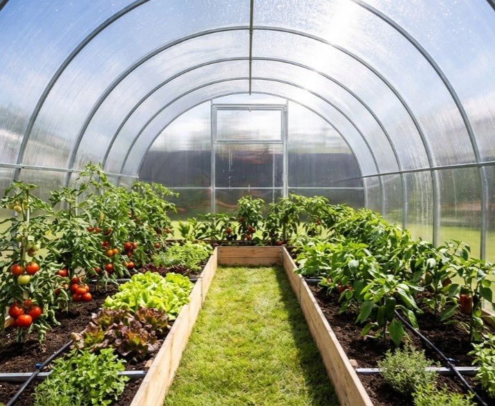 Greenhouse 3x8m polycarbonate 4mm