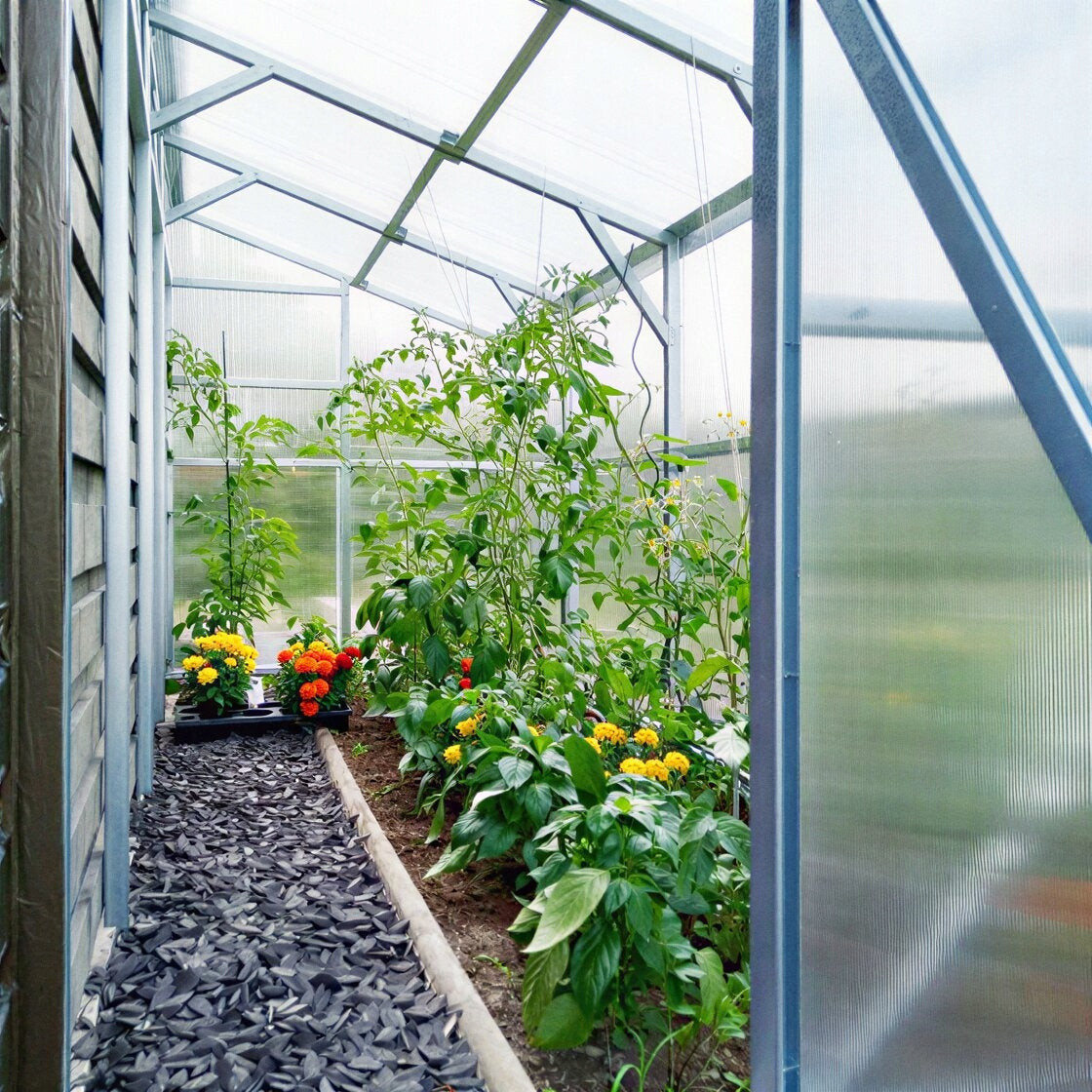 Greenhouse Wall Mounted 1,5x4m Polycarbonate 4mm Strong Profile 40x40mm Zinc Length 4 m