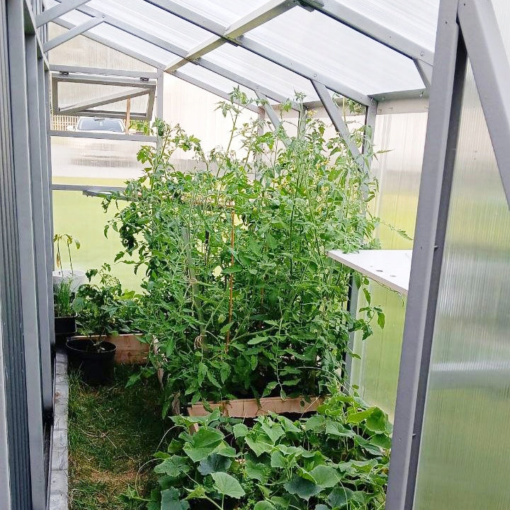 Greenhouse Wall Mounted 1,5x4m Polycarbonate 4mm Strong Profile 40x40mm Zinc Width 1.5 m
