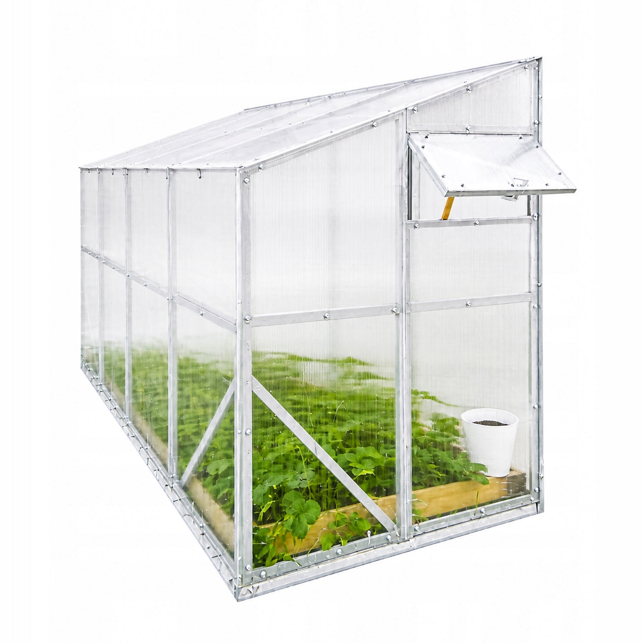 Greenhouse Wall Mounted 1,5x4m Polycarbonate 4mm Strong Profile 40x40mm Zinc