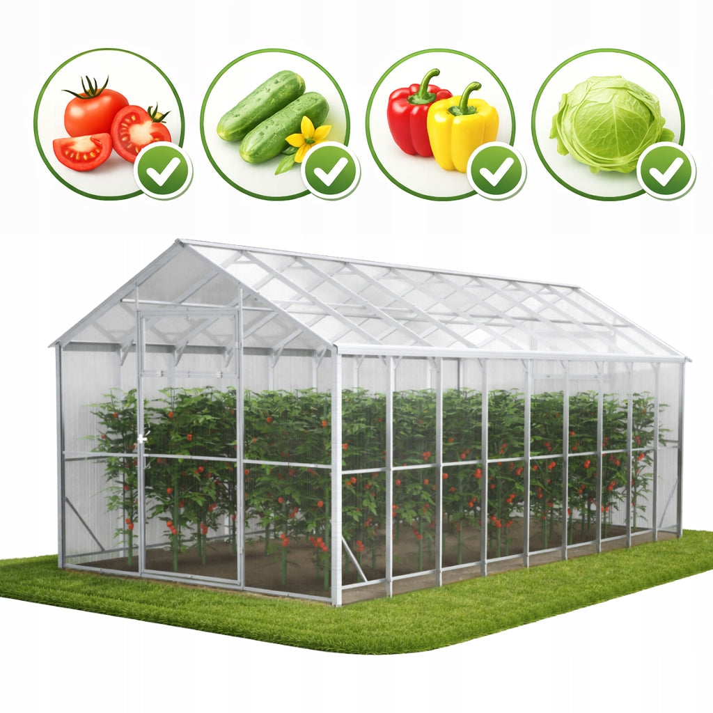 Greenhouse made of polycarbonate DOMEK 2,5x6 m profiles 40x20 polycarbonate 6mm Length 6 m