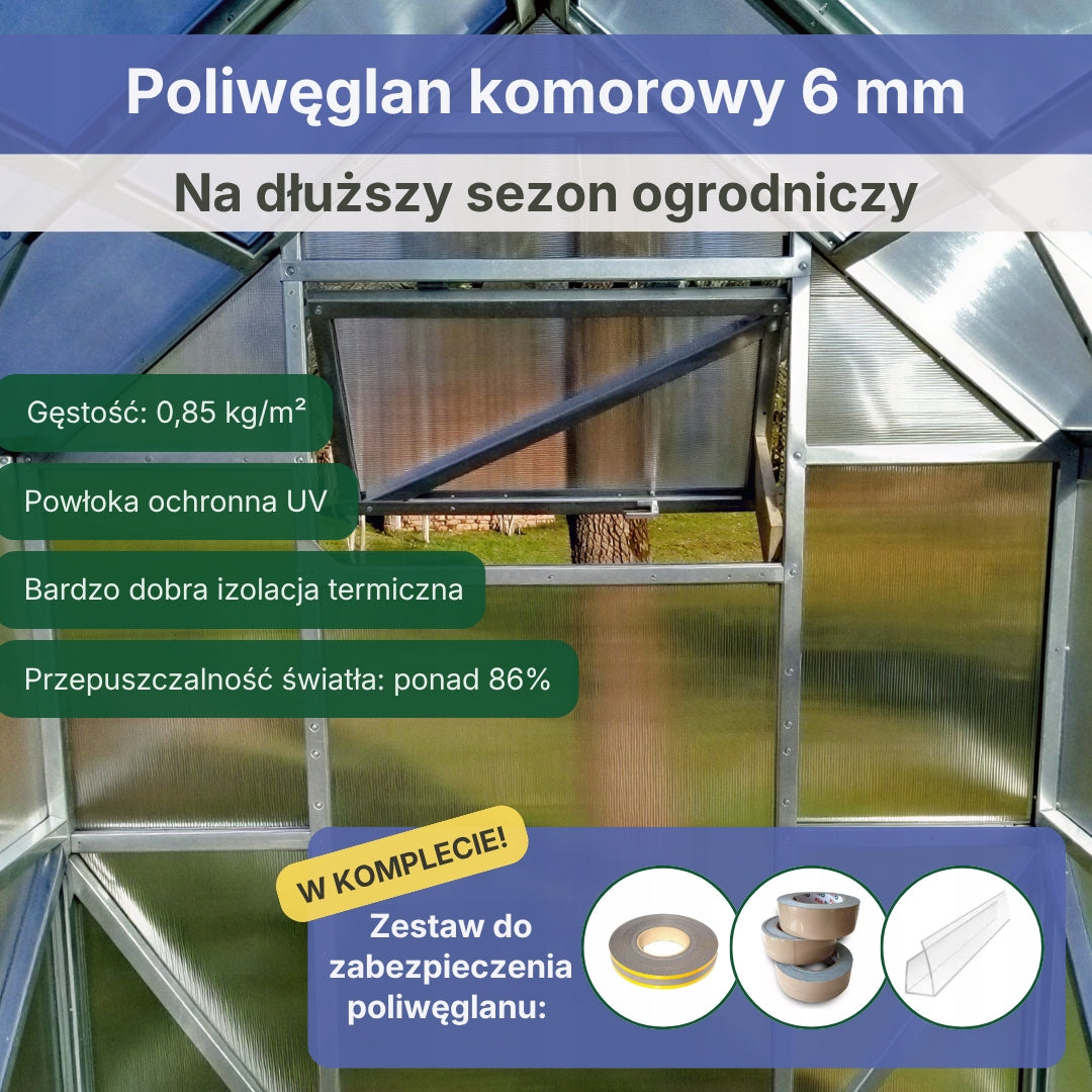 Greenhouse polycarbonate 2x4 m Comfort cottage PW 6 mm Strong profiles Steel Product height 220 cm