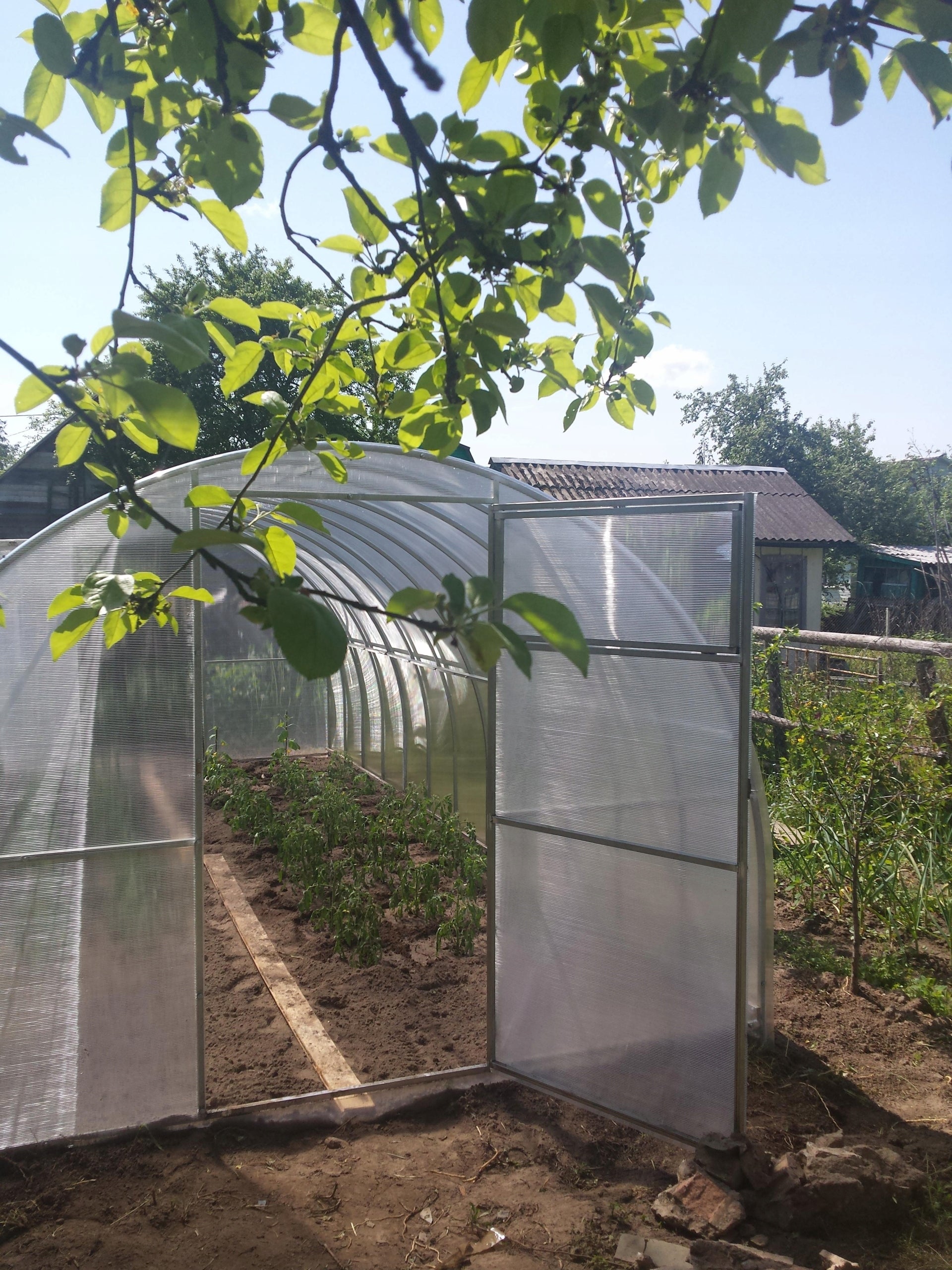 Greenhouse polycarbonate tunnel 3x6 m 20*20 4mm Length 6 m