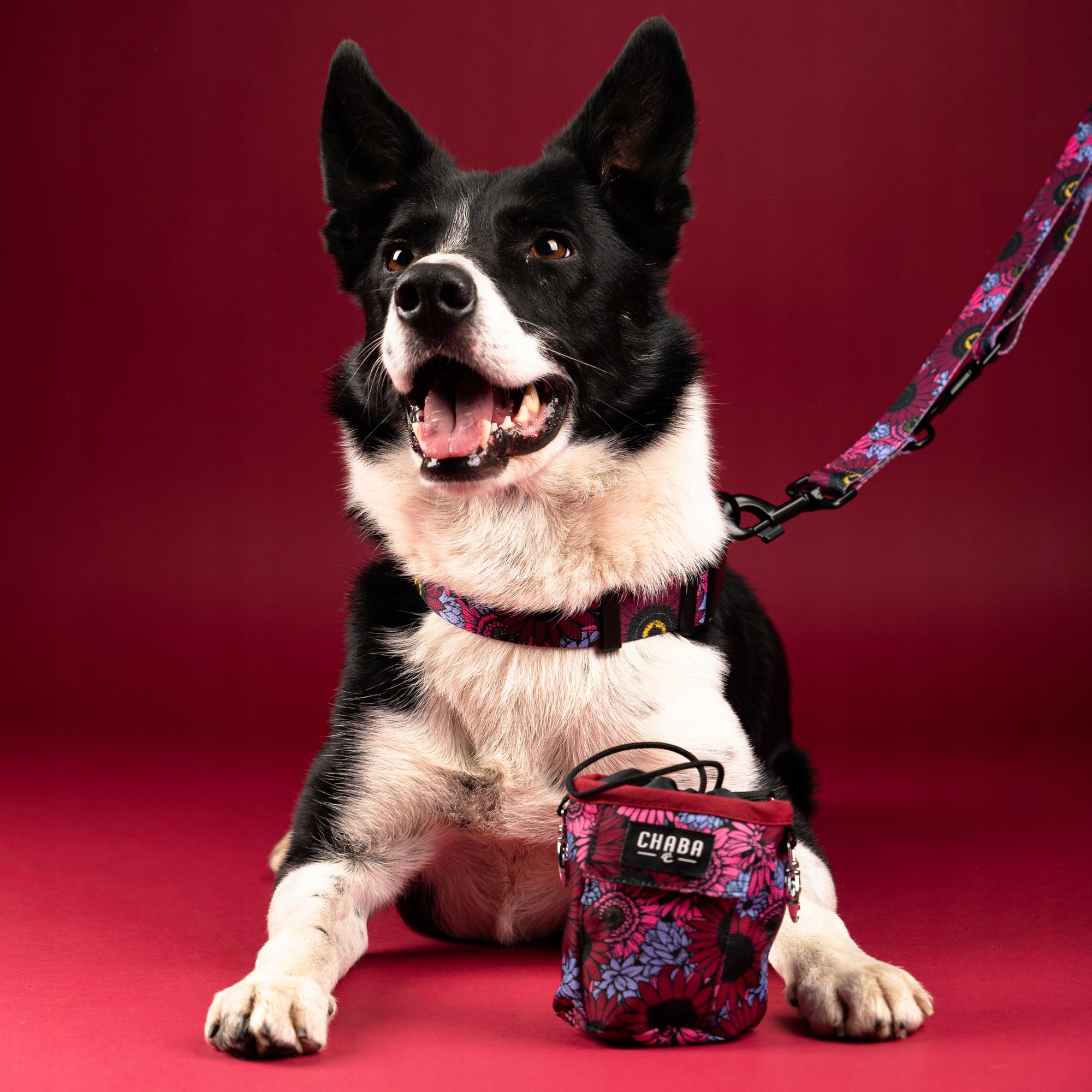 Guard Comfort Pressure-Free Walking Harness for Dog – Chaba Lakota Size S Kind walking harness