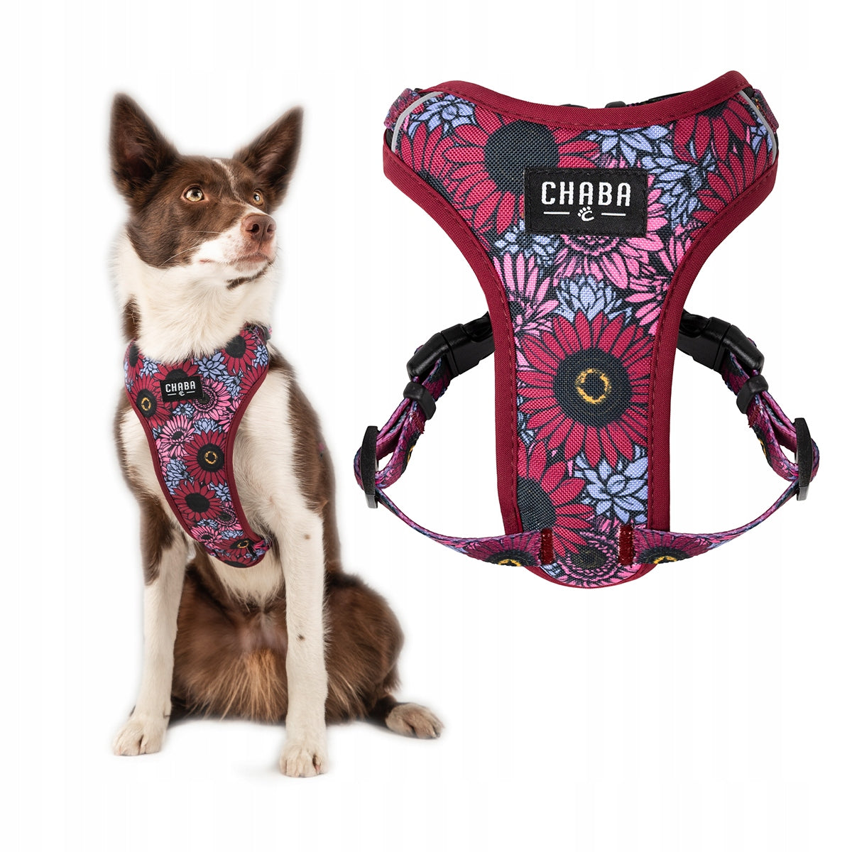 Guard Comfort Pressure-Free Walking Harness for Dog – Chaba Lakota Size S Packaging status original