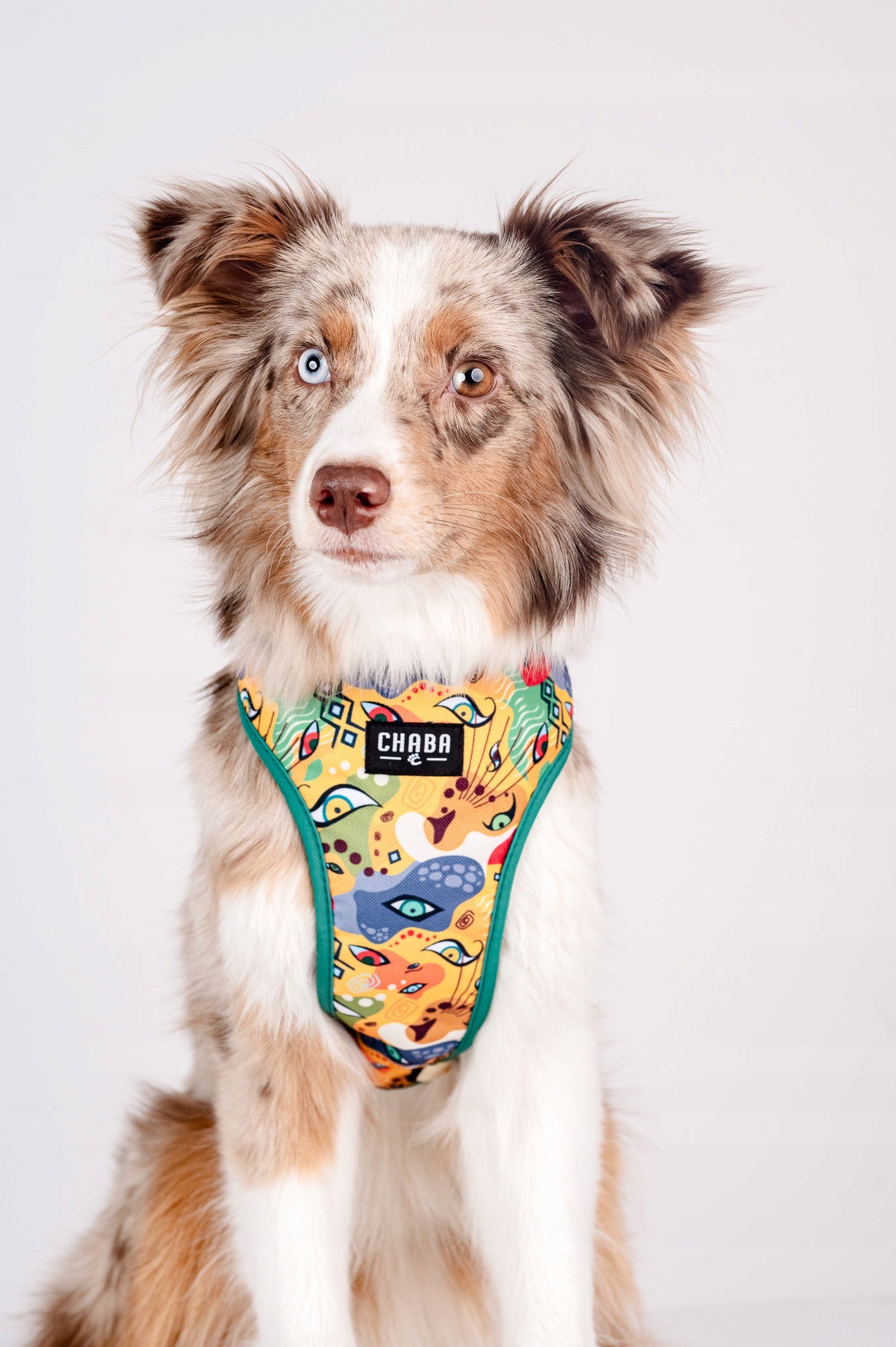 Guard Pressure-Free Harness for Dogs - Comfort Series CHABA |Jumbo| Color multicolor