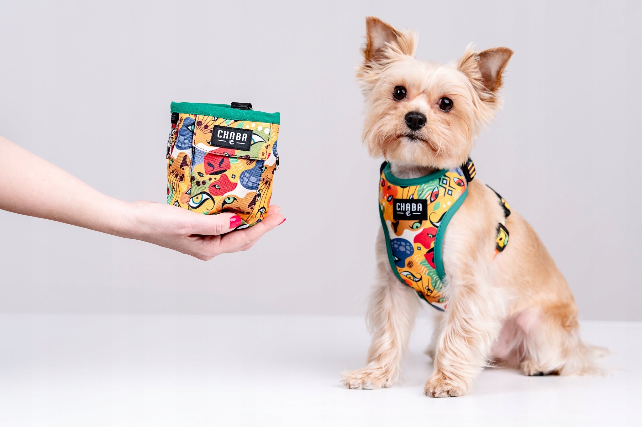 Guard Pressure-Free Harness for Dogs - Comfort Series CHABA |Jumbo| Size M