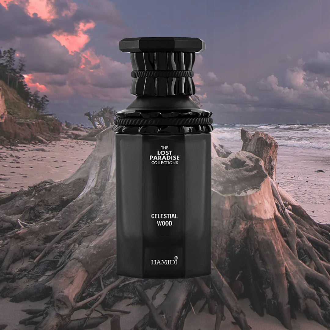 HAMIDI LOST PARADISE CELESTIAL WOOD EDP U 100ML unisex eau de parfum Packaging volume 100 ml