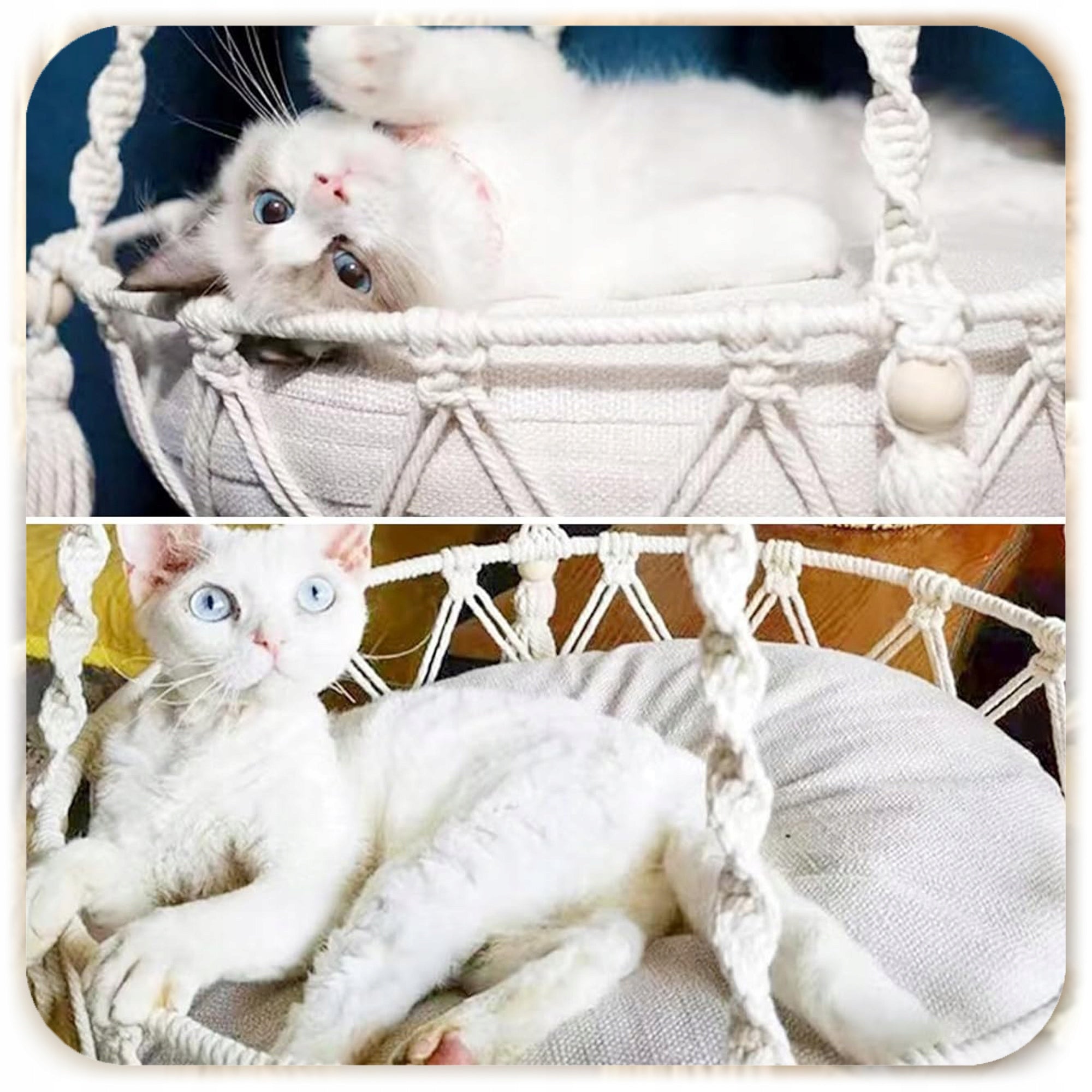 HAMMOCK CAT BED BOHO MACRAME HANGING UNDER THE CEILING 40x40CM + PILLOW Color white