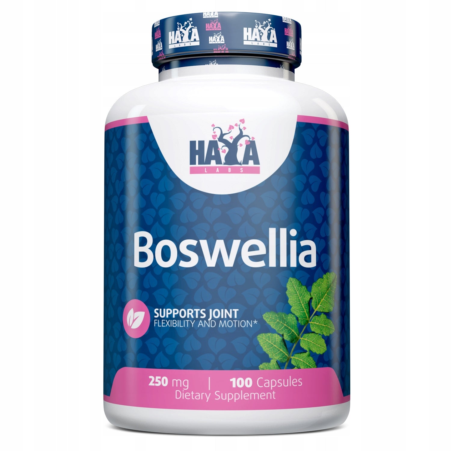 HAYA LABS Boston 250 mg 100 capsules
