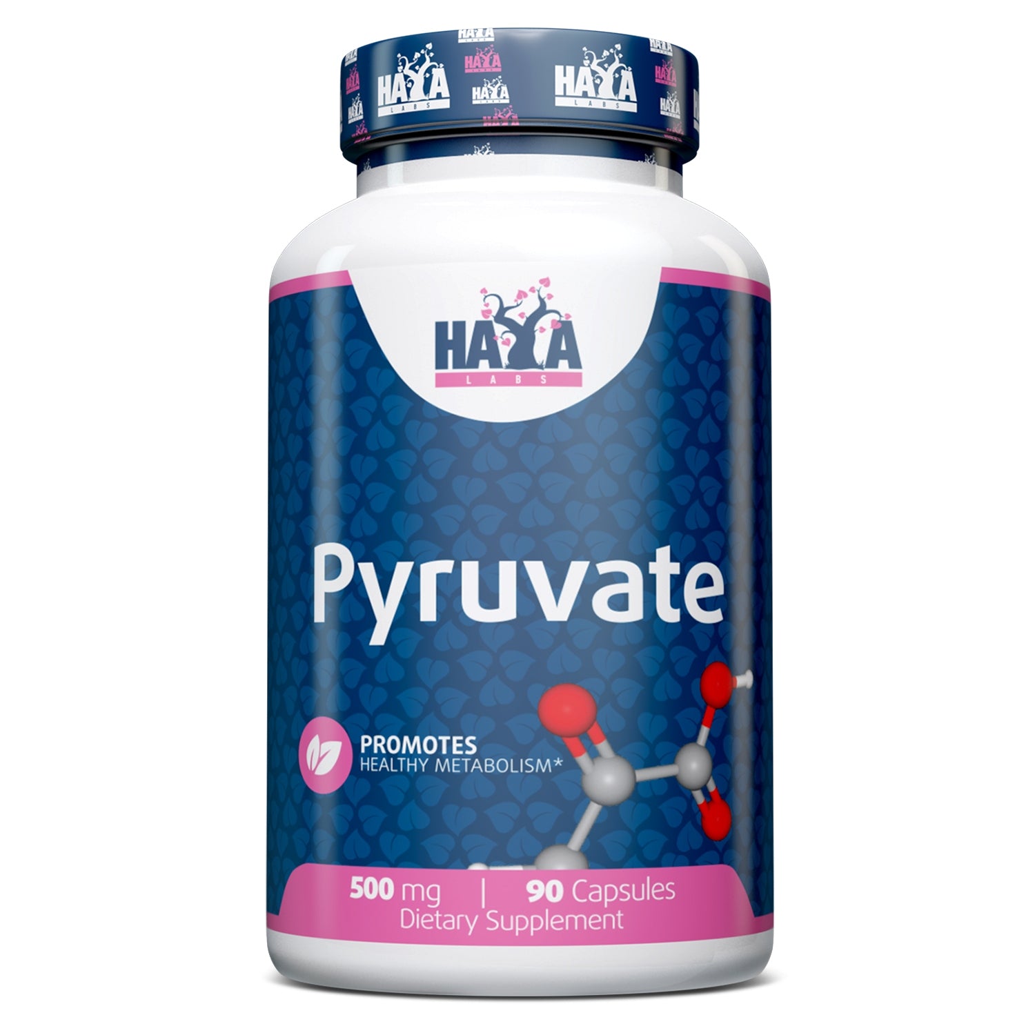 HAYA LABS Pyruvate 500 mg 90 capsules