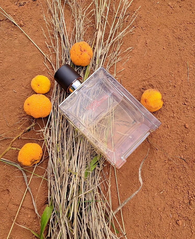 HERMES TERRE D'HERMES EDT 100ML ORIGINAL Brand Hermès