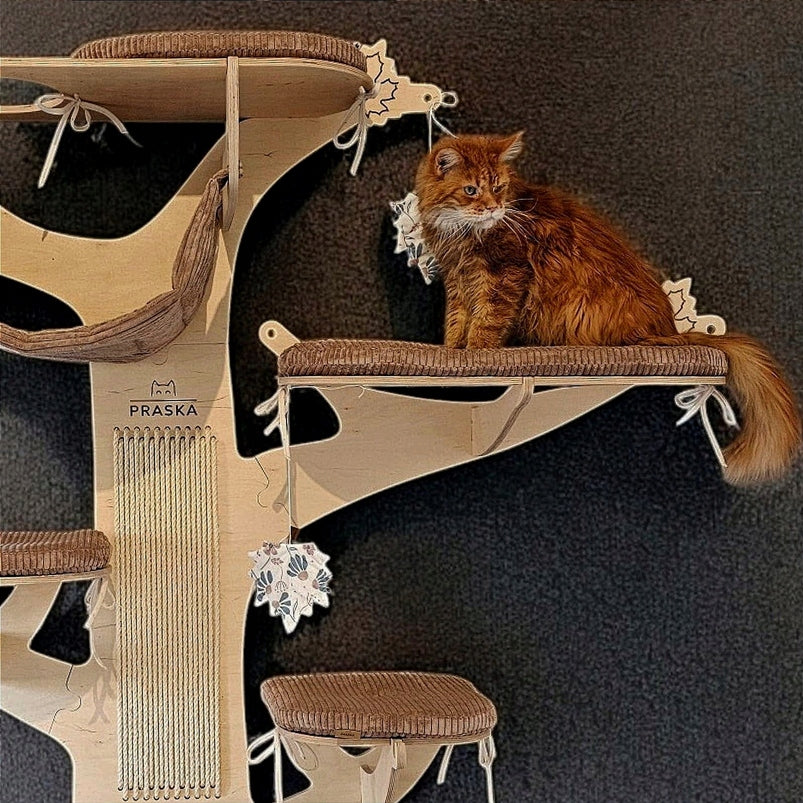 HIGH Cat Scratcher on the Wall Tree MAPLE 162x169x38cm NATURAL PRESS Kind tall scratching post bed scratching post scratching tower